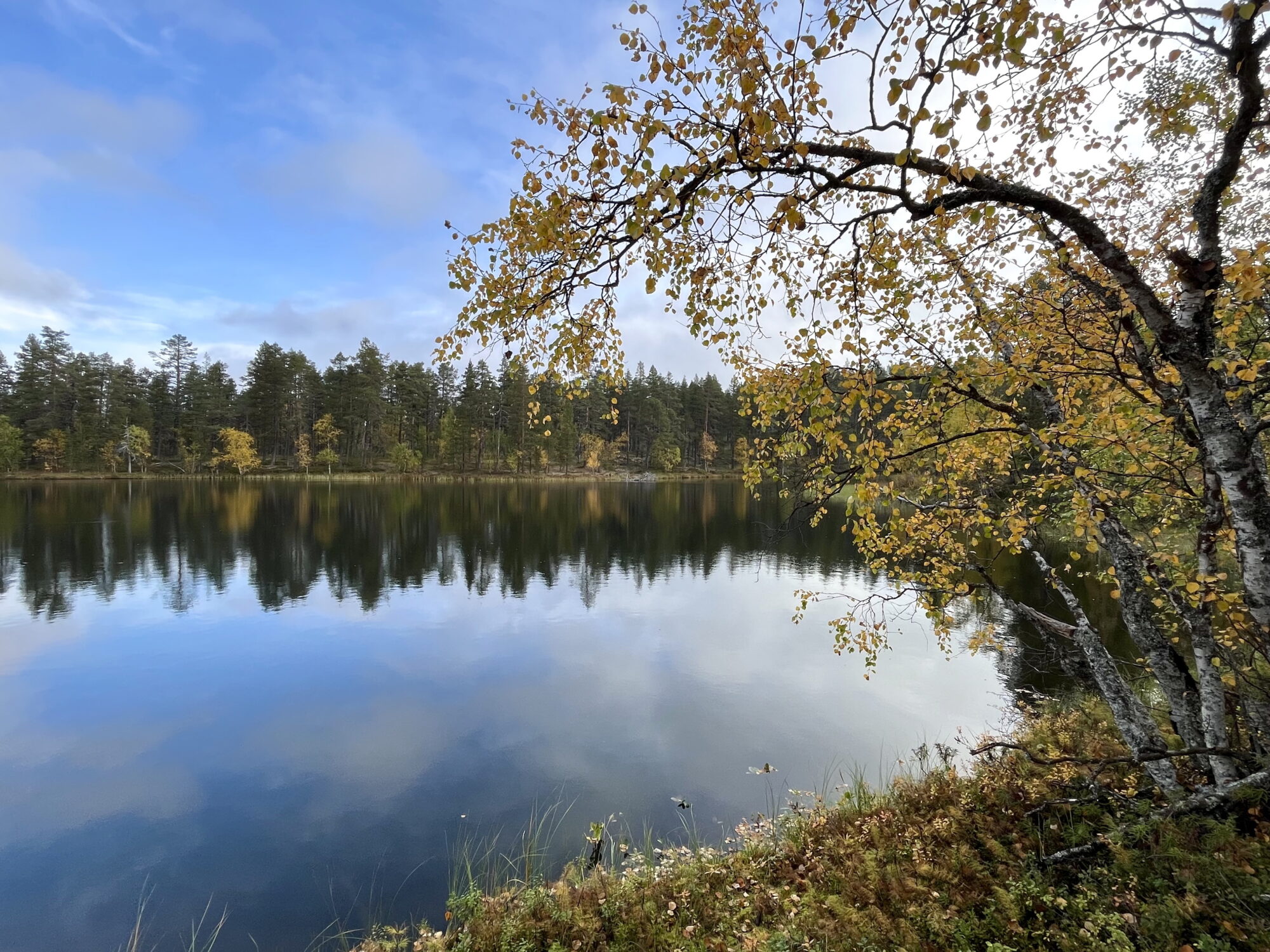 Valokuvaaja: Tuukka Pahtamaa