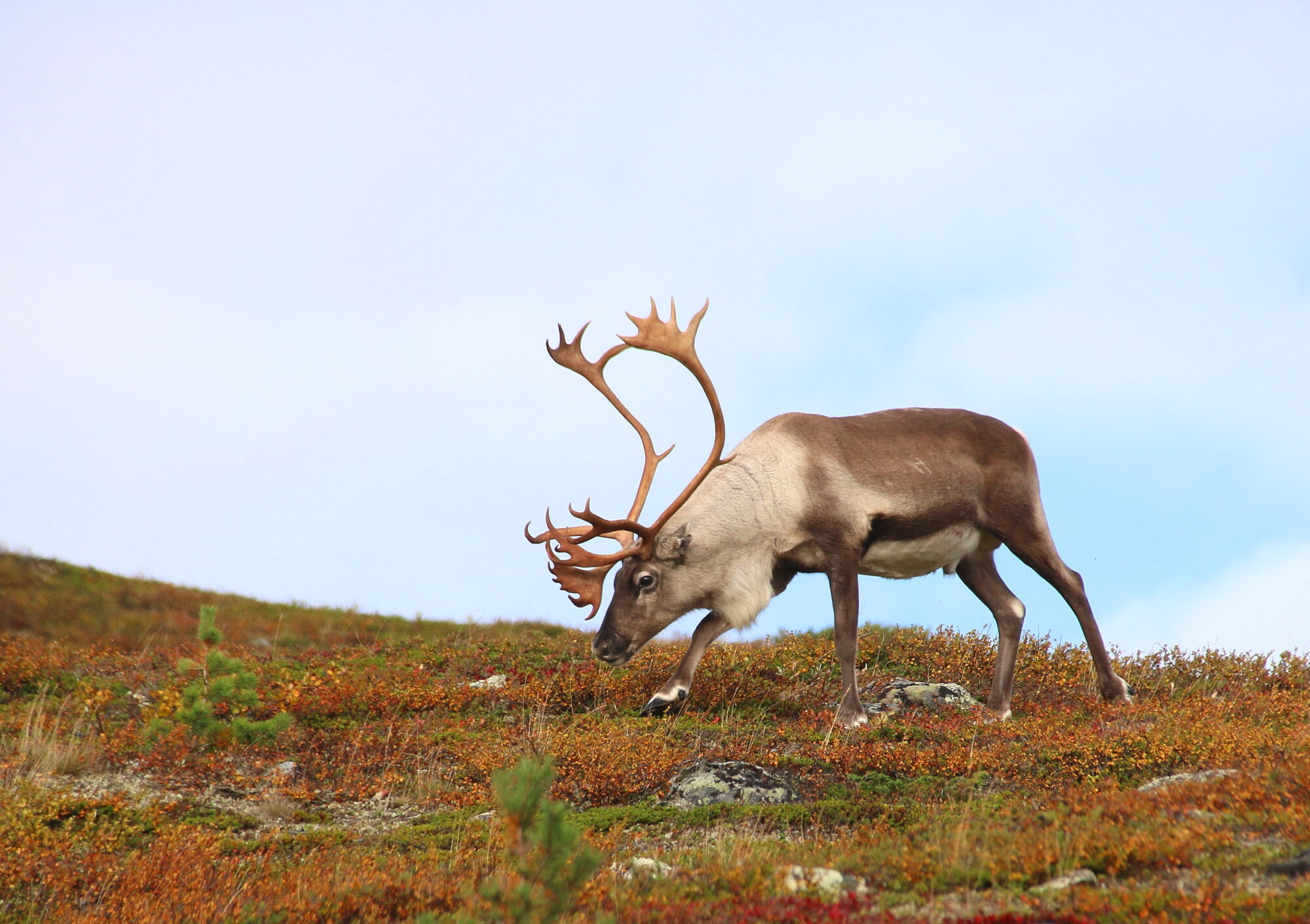 Valokuvaaja: Tuukka Pahtamaa