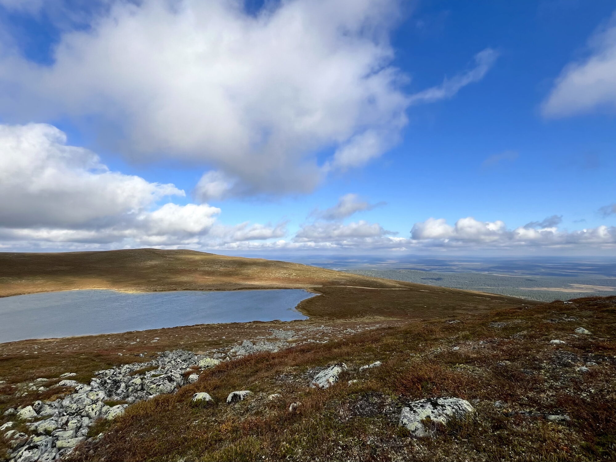 Valokuvaaja: Tuukka Pahtamaa