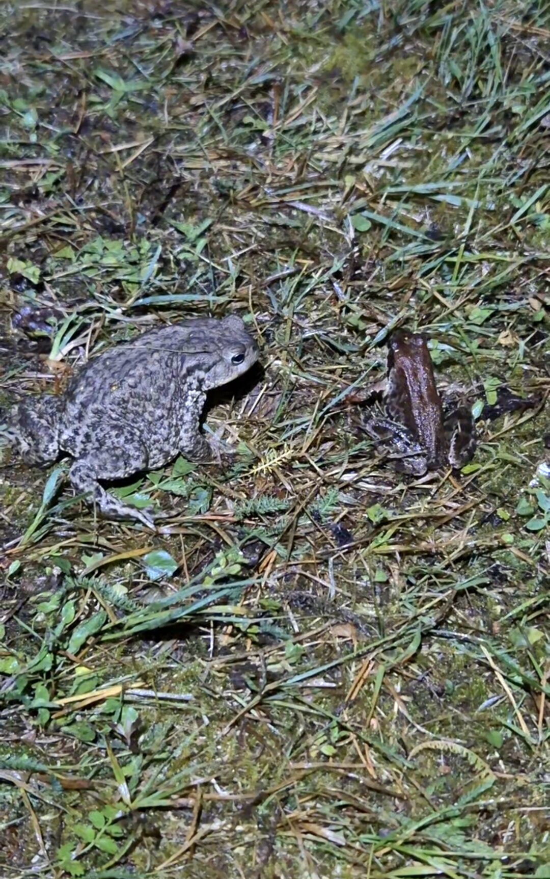 Valokuvaaja: Ilona Lehtonen