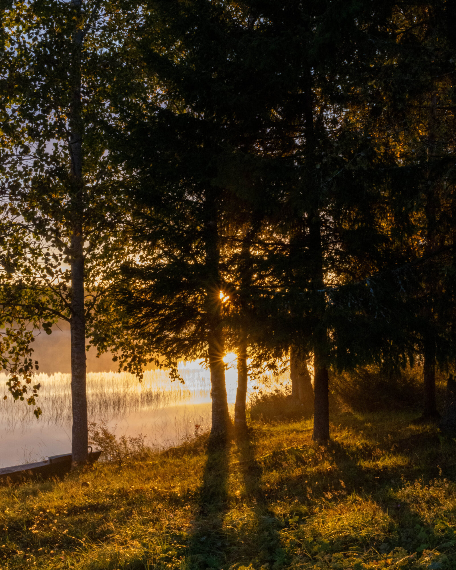 Valokuvaaja: Hannu Tikkanen