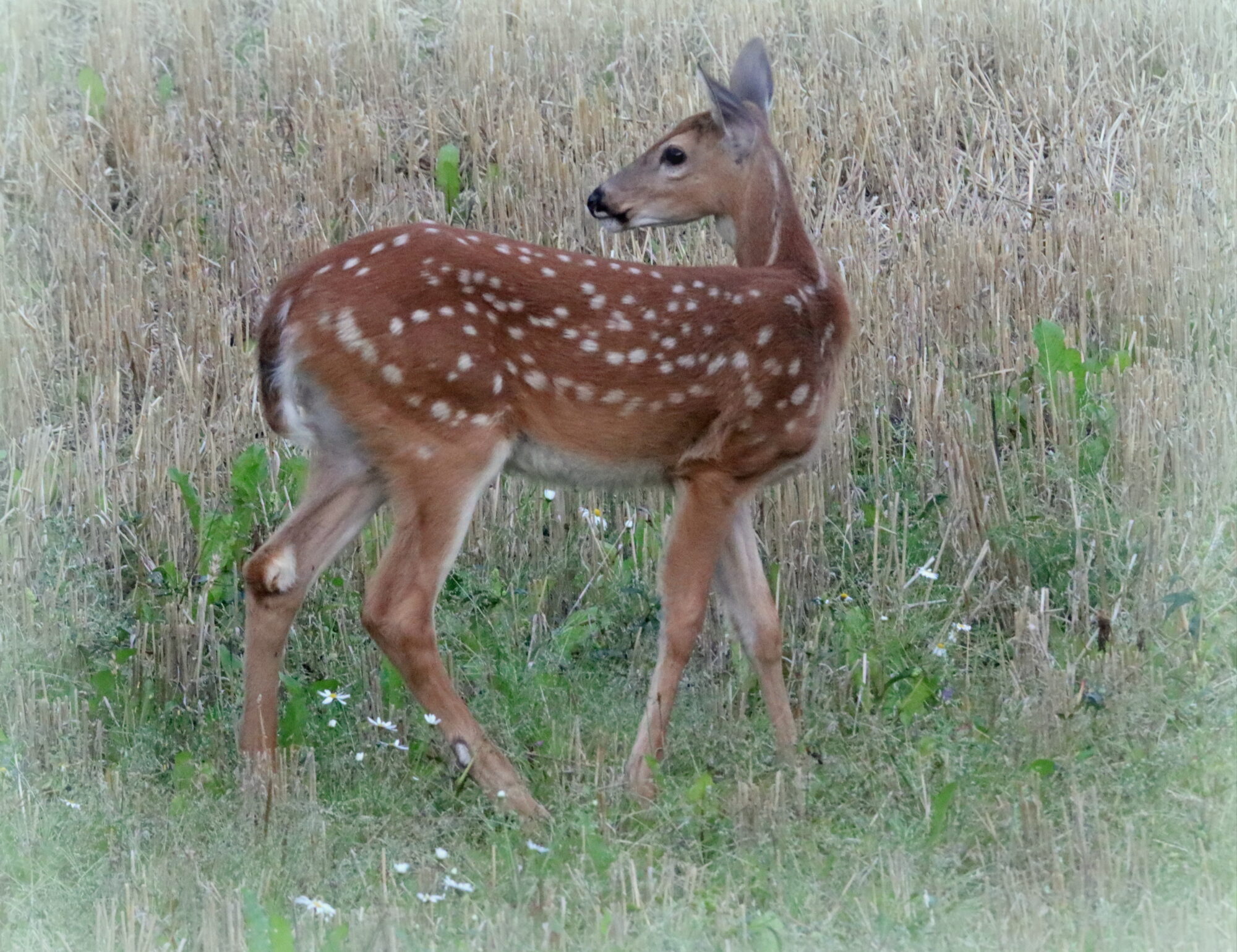 Valokuvaaja: Irja Lehtinen