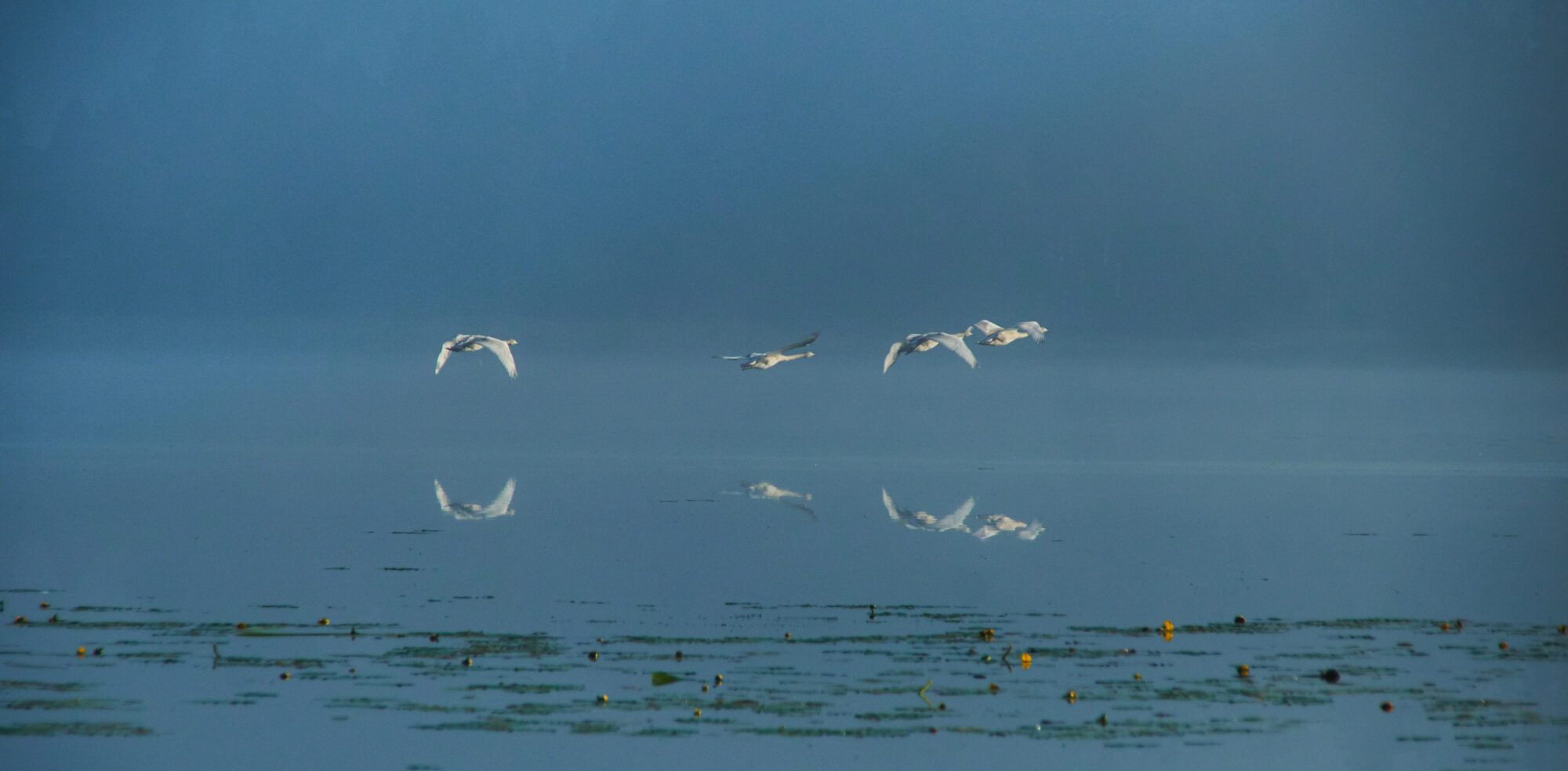 Valokuvaaja: Tarja Kouvo