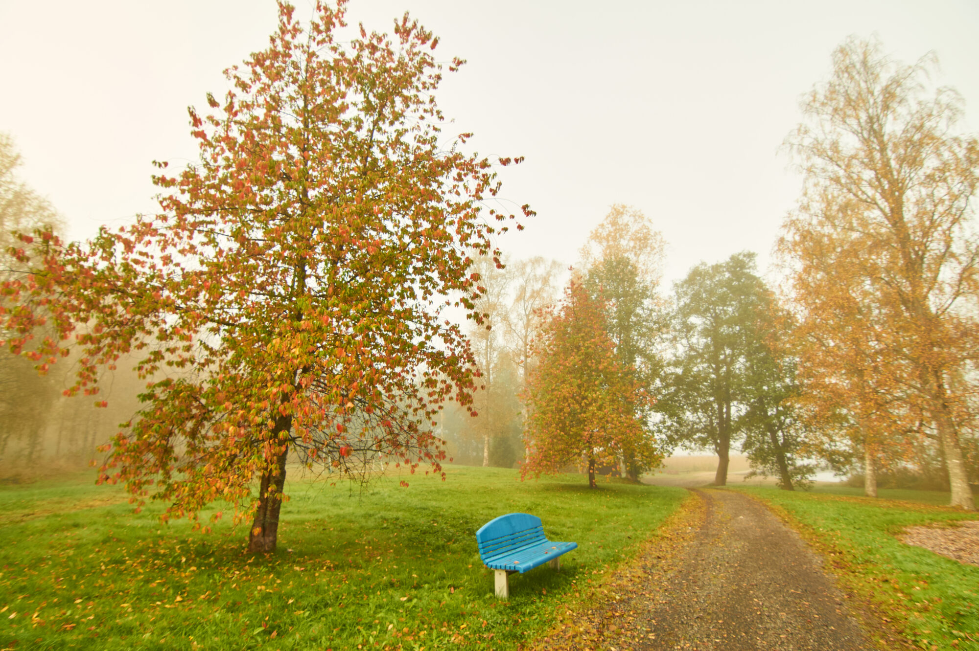Valokuvaaja: Tarja Kouvo