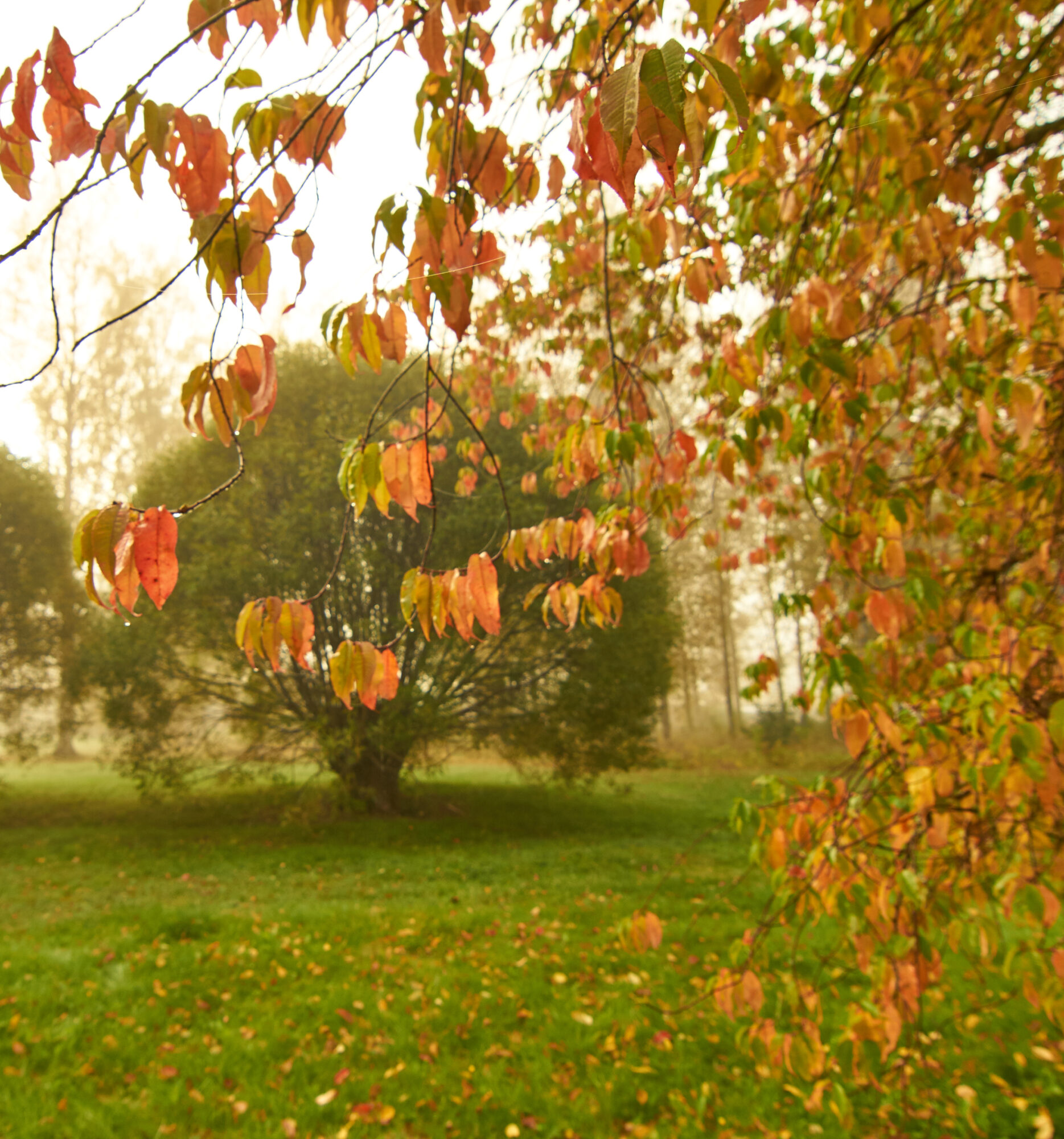 Valokuvaaja: Tarja Kouvo