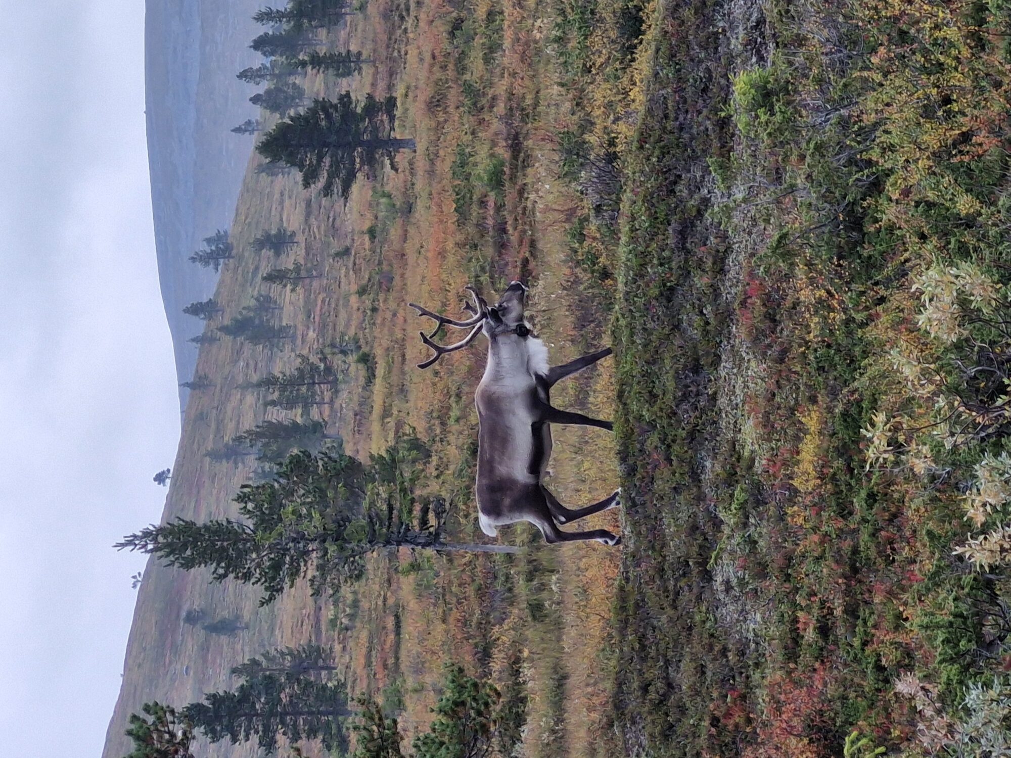 Valokuvaaja: Jaana koskinen