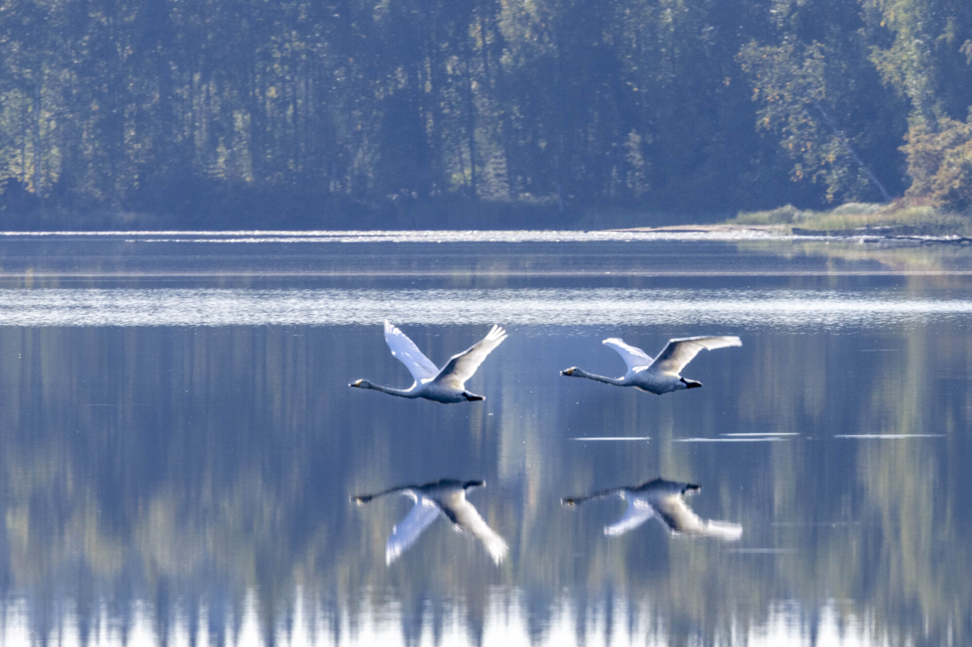 Valokuvaaja: Hannu Tikkanen