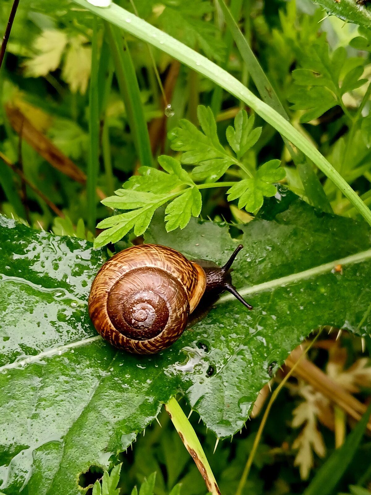 Valokuvaaja: Helena Sytelä