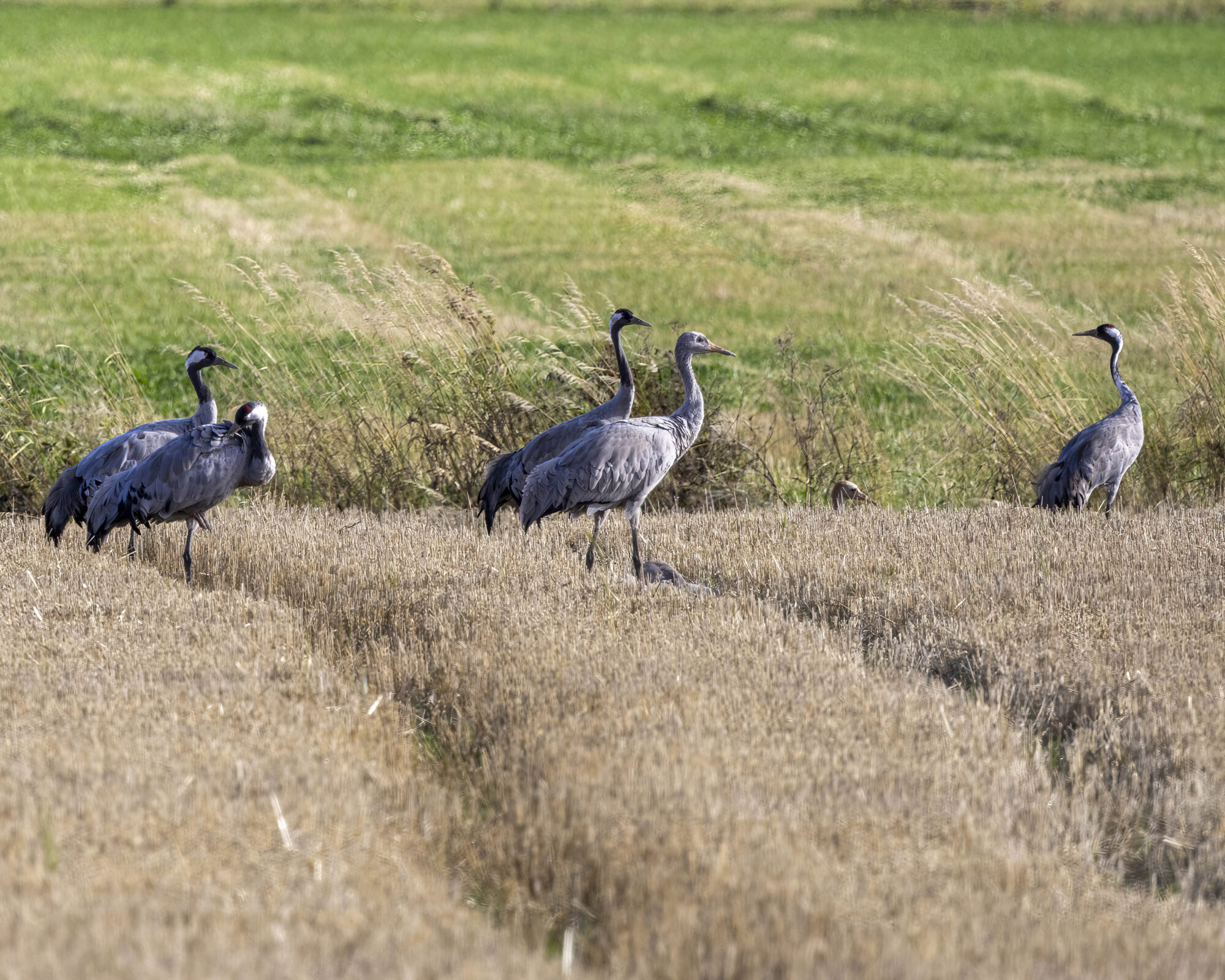 Valokuvaaja: Hannu Tikkanen