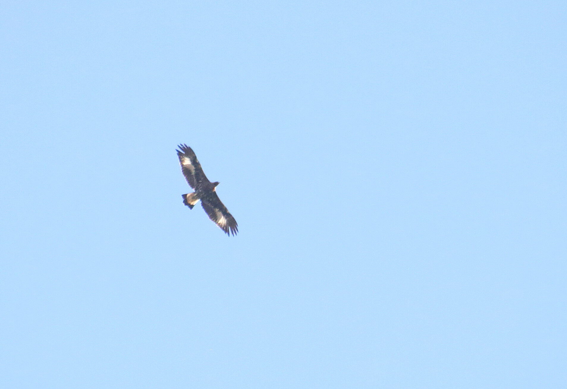 Valokuvaaja: Tuukka Pahtamaa