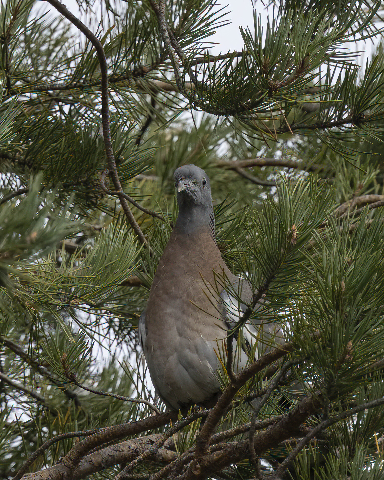 Valokuvaaja: Hannu Tikkanen