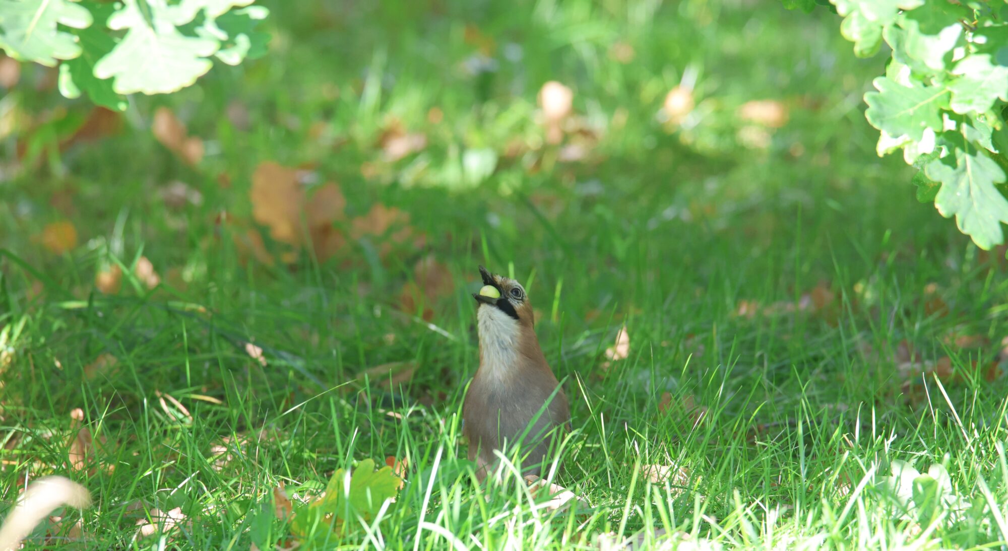 Valokuvaaja: Jaana Saarelainen