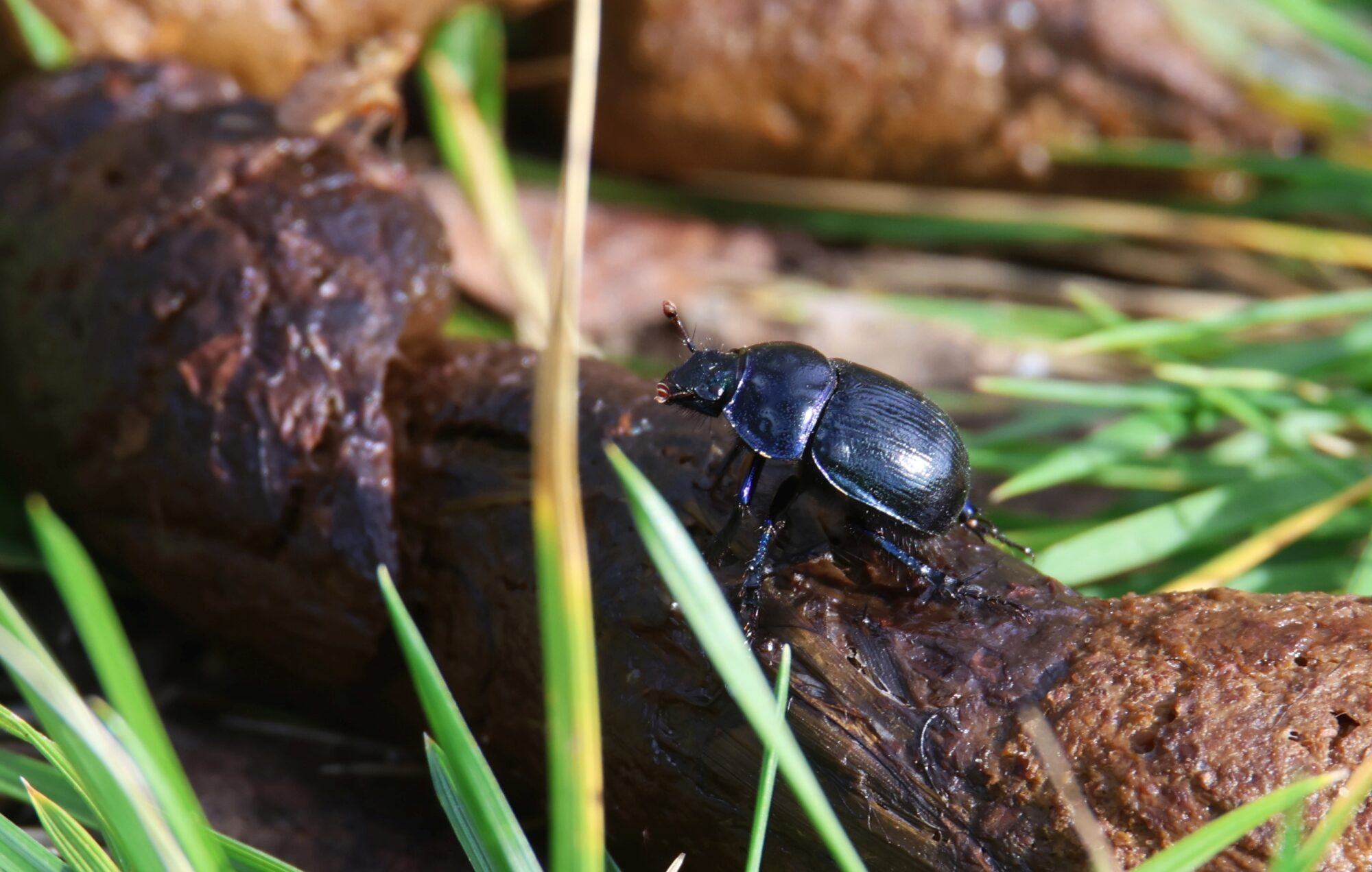 Valokuvaaja: Jaana Saarelainen