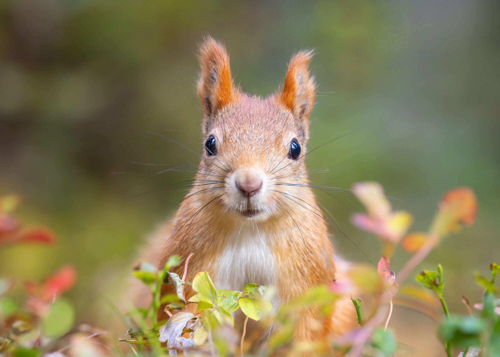 Valokuvaaja: Laura Lehtola