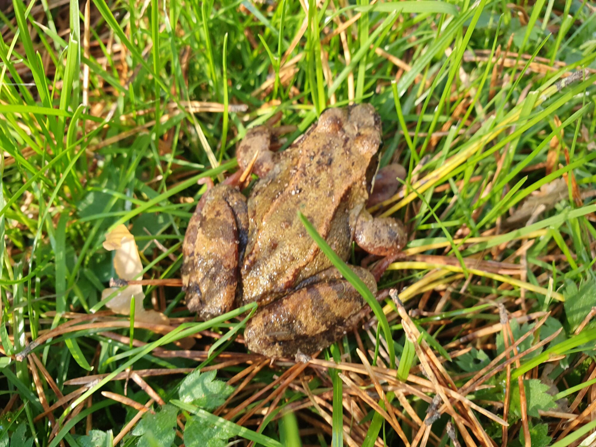 Valokuvaaja: Pirkko Tuulihovi