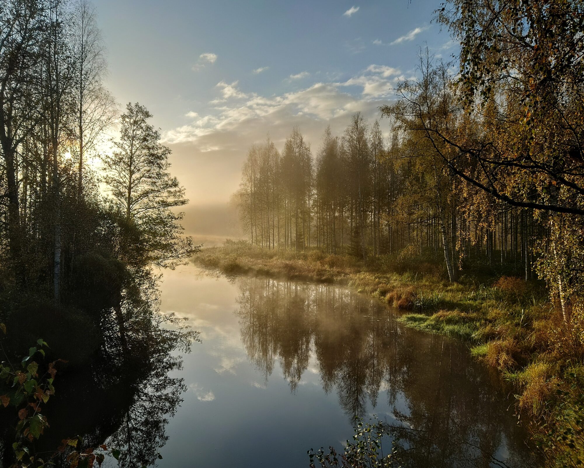 Valokuvaaja: Kati Westerlund Valokuvaaja: Kati Westerlund