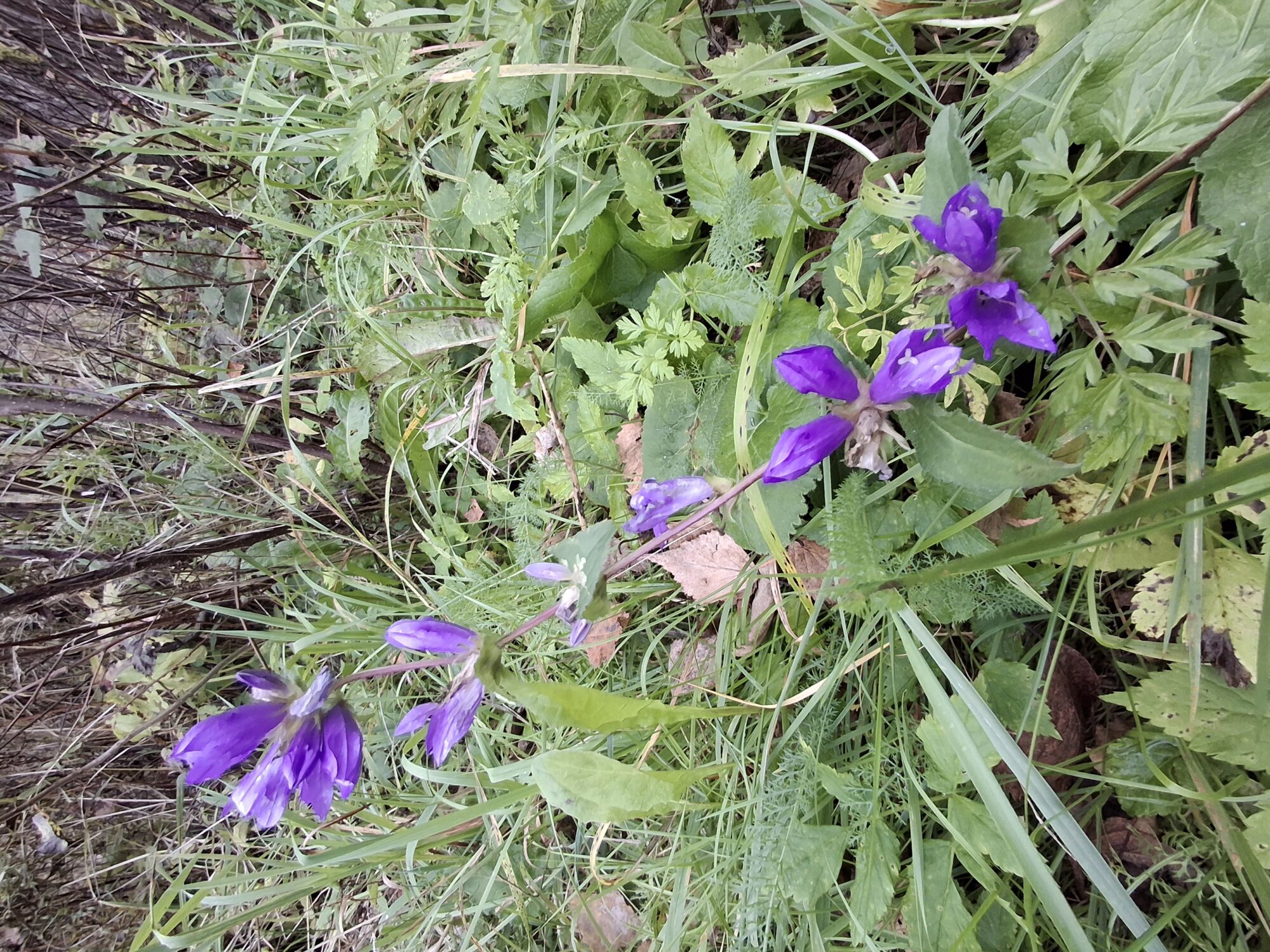 Valokuvaaja: Satu Suuntala