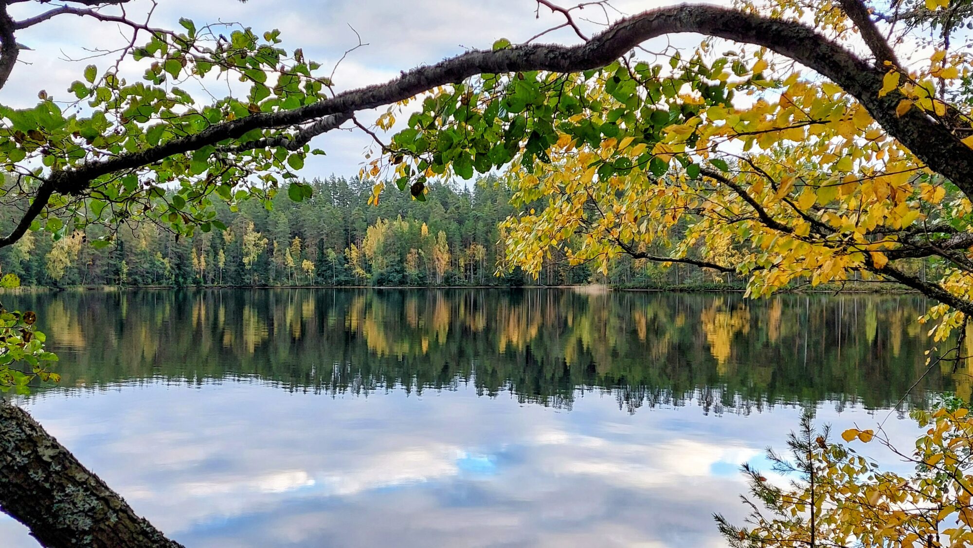 Valokuvaaja: Tarja Naukkarinen