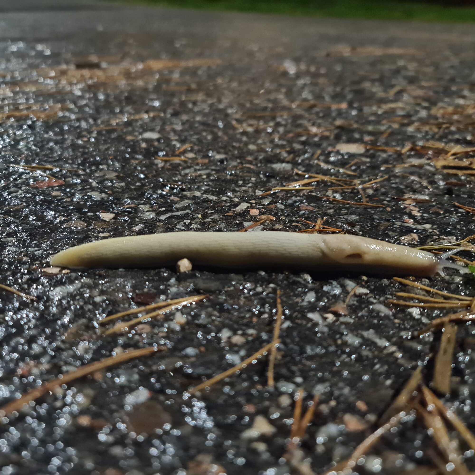 Valokuvaaja: Sonja Aittokallio