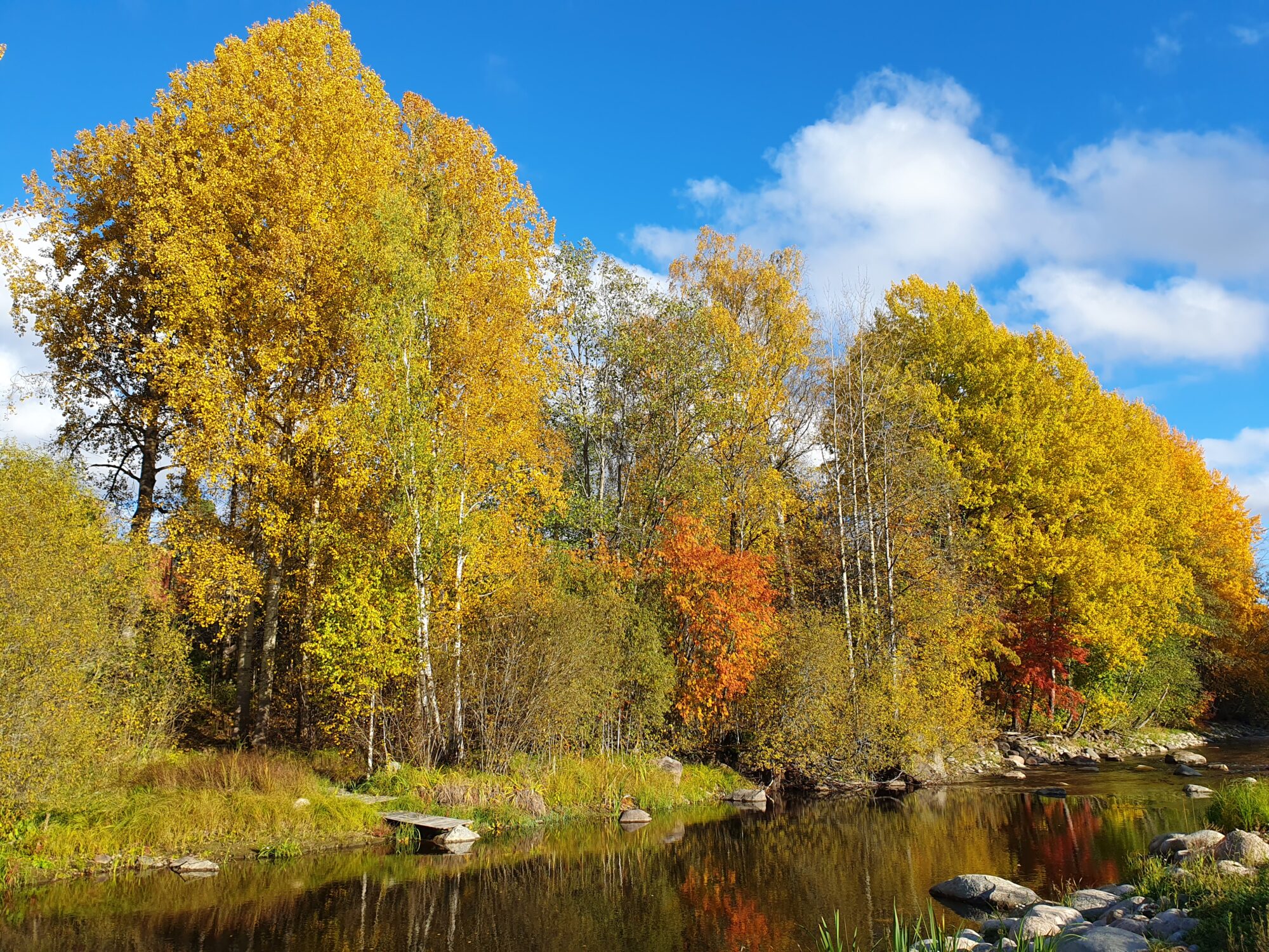 Valokuvaaja: Pirkko Tuulihovi
