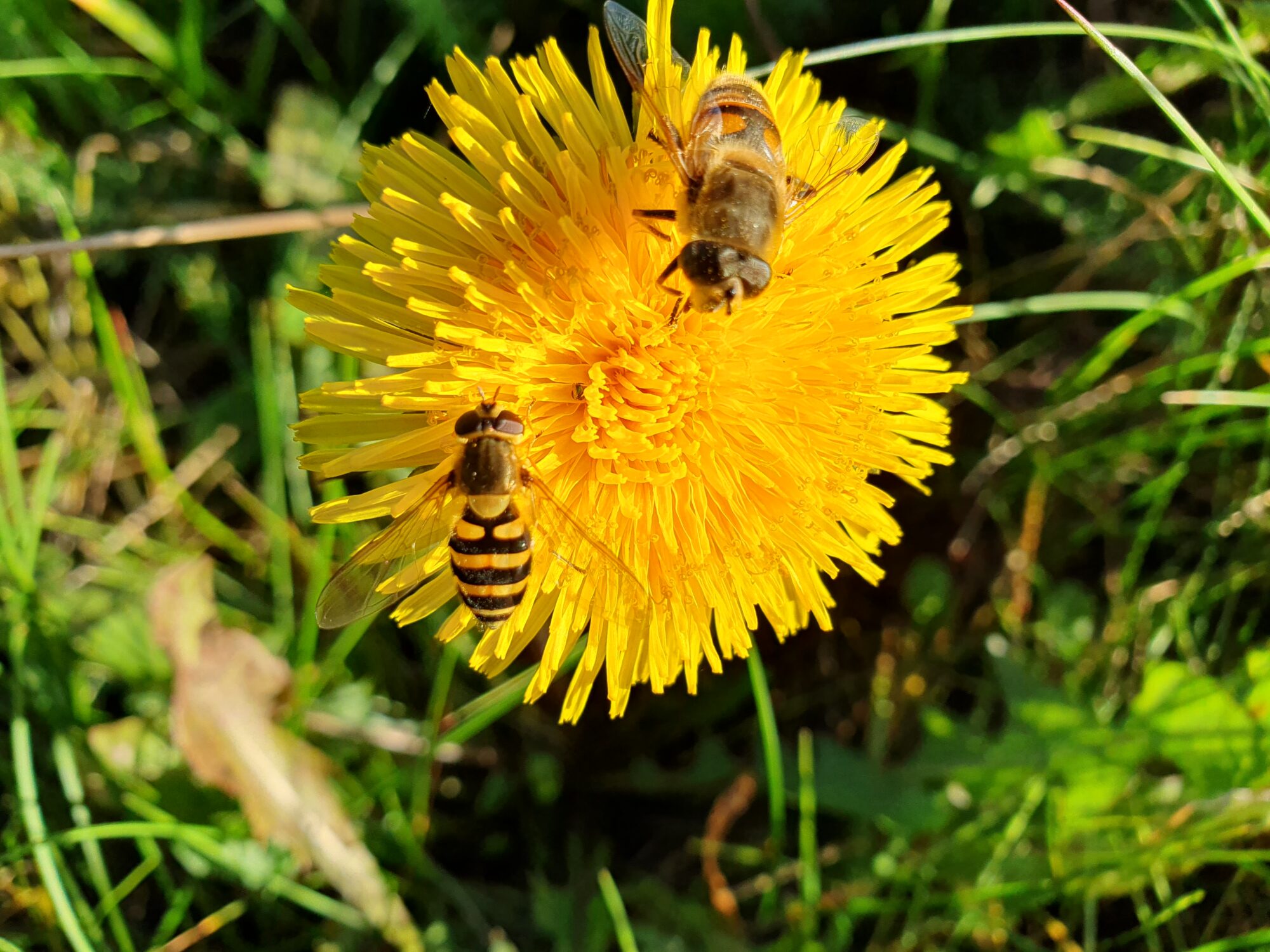 Valokuvaaja: Pirkko Tuulihovi