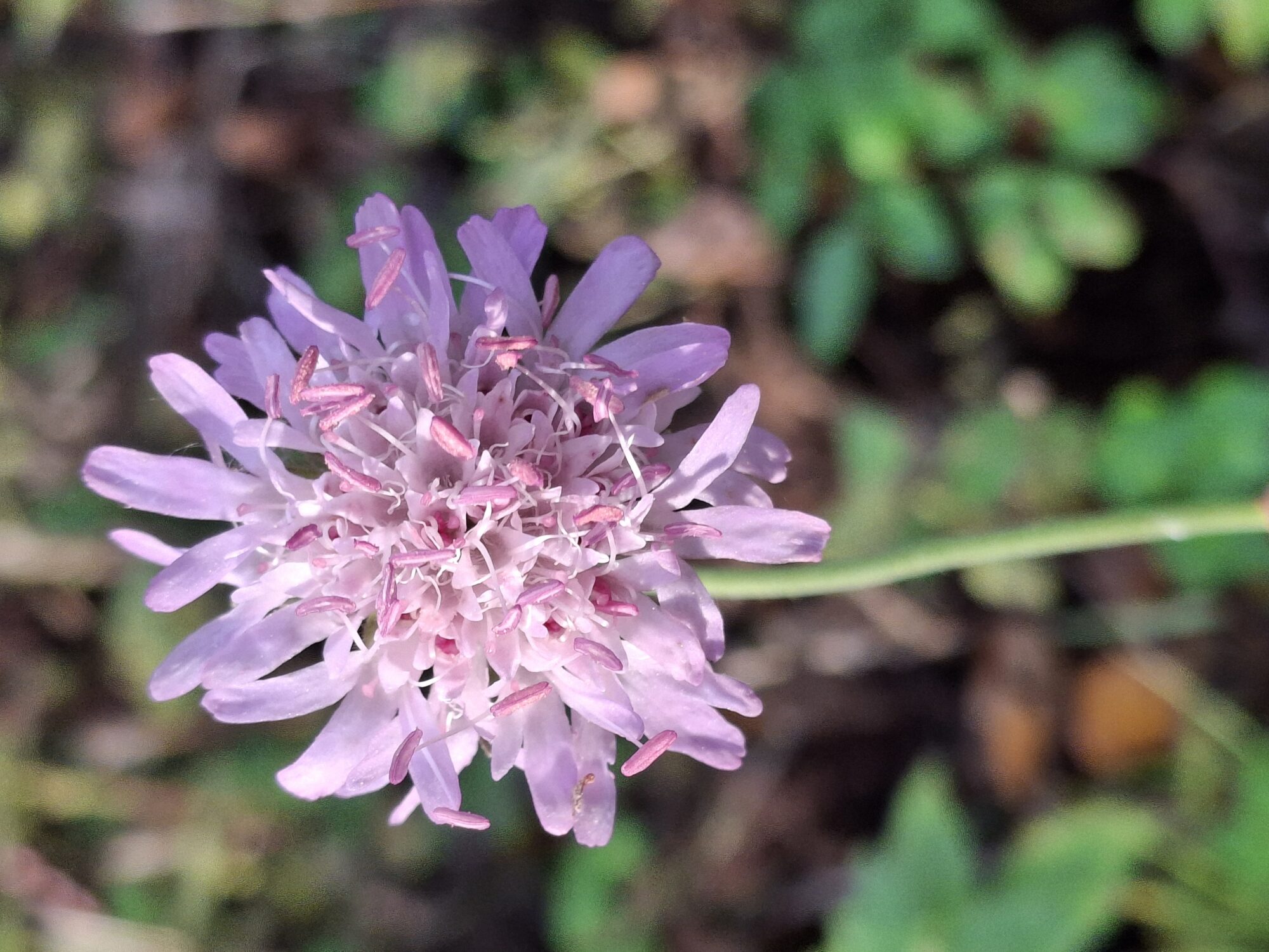 Valokuvaaja: Satu Suuntala