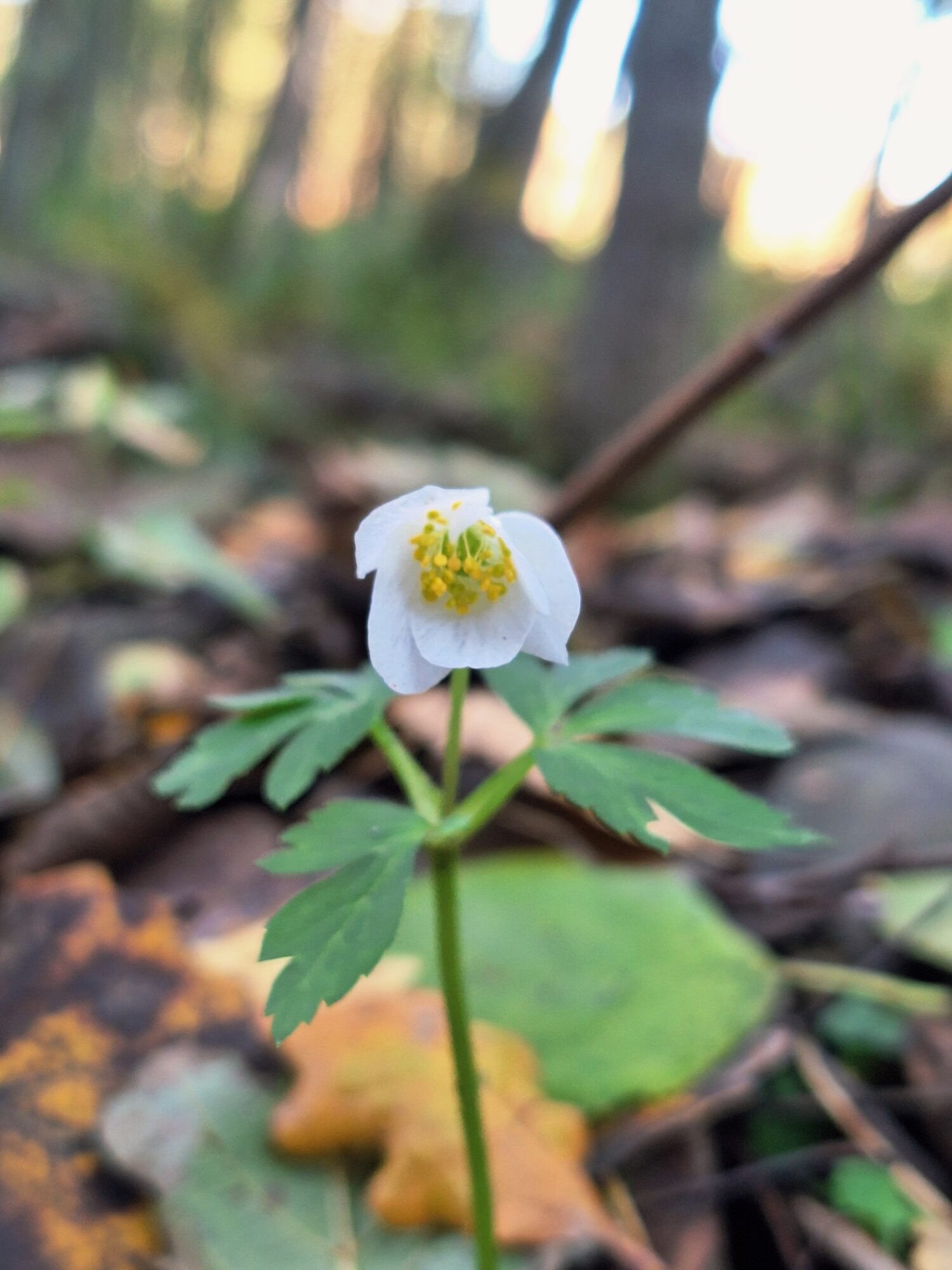 Valokuvaaja: Ville Forss