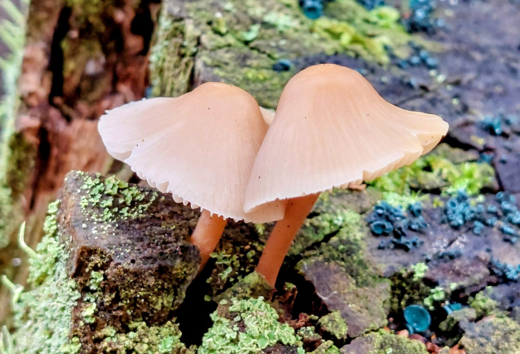 Valokuvaaja: Tarja Naukkarinen