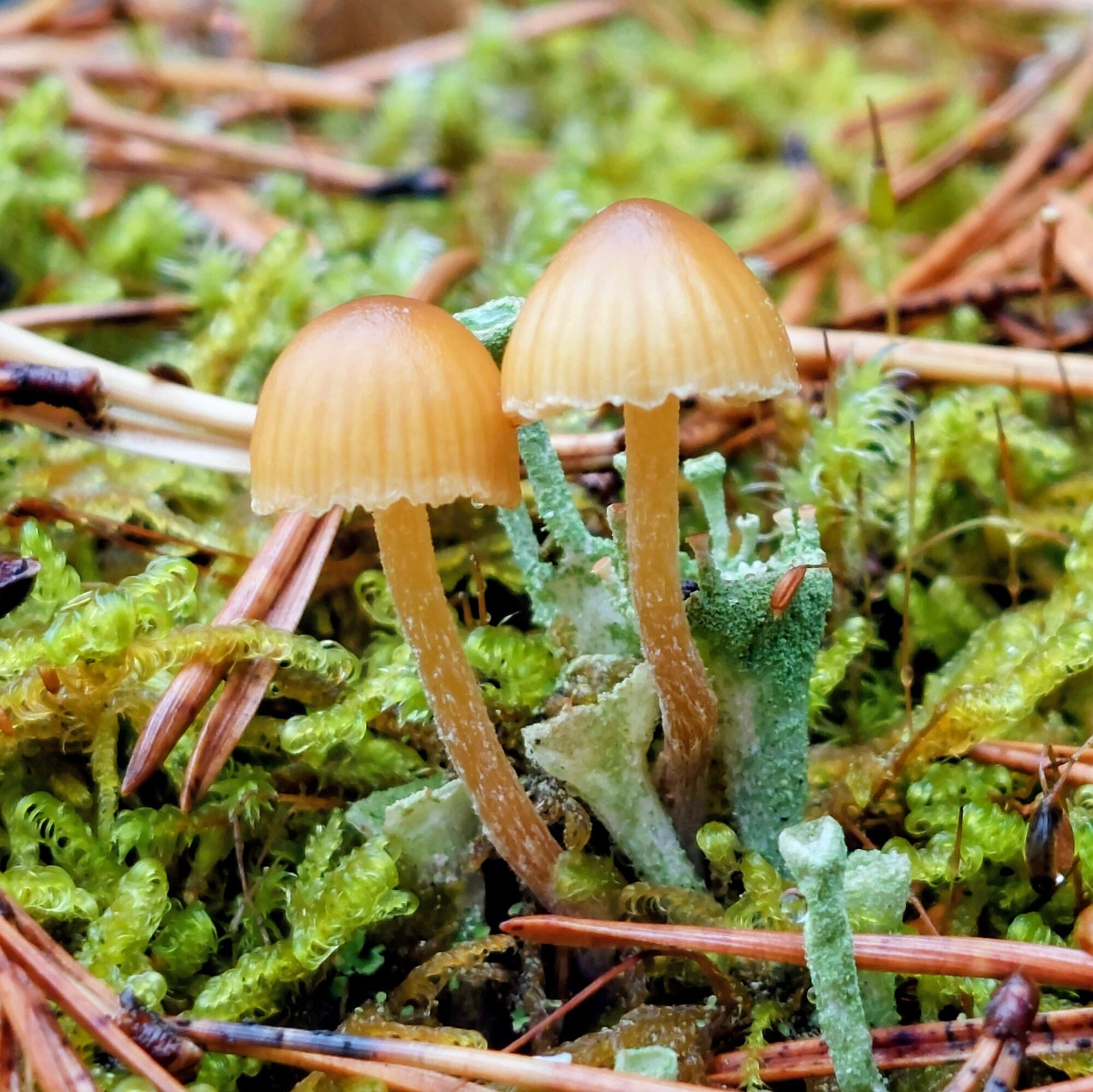 Valokuvaaja: Tarja Naukkarinen