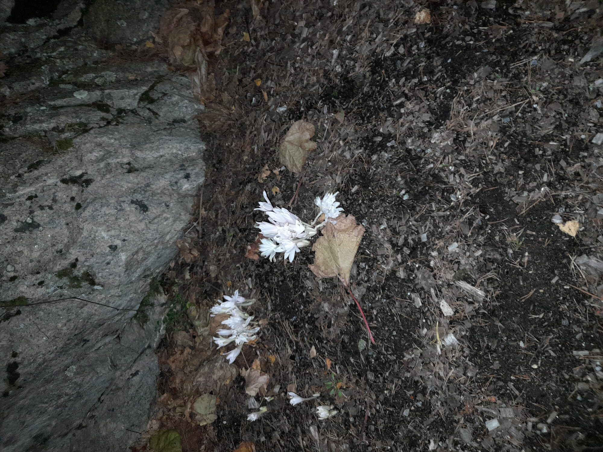 Valokuvaaja: Anne Pinomäki