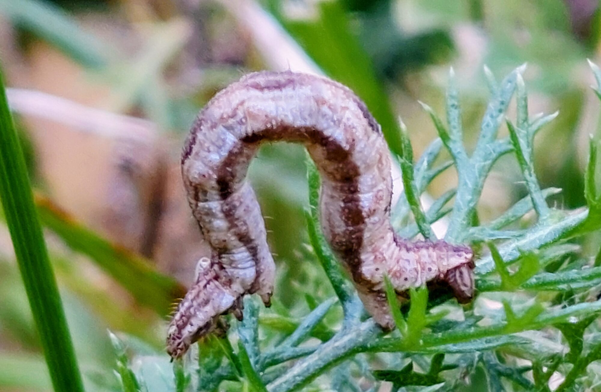 Valokuvaaja: Tarja Naukkarinen