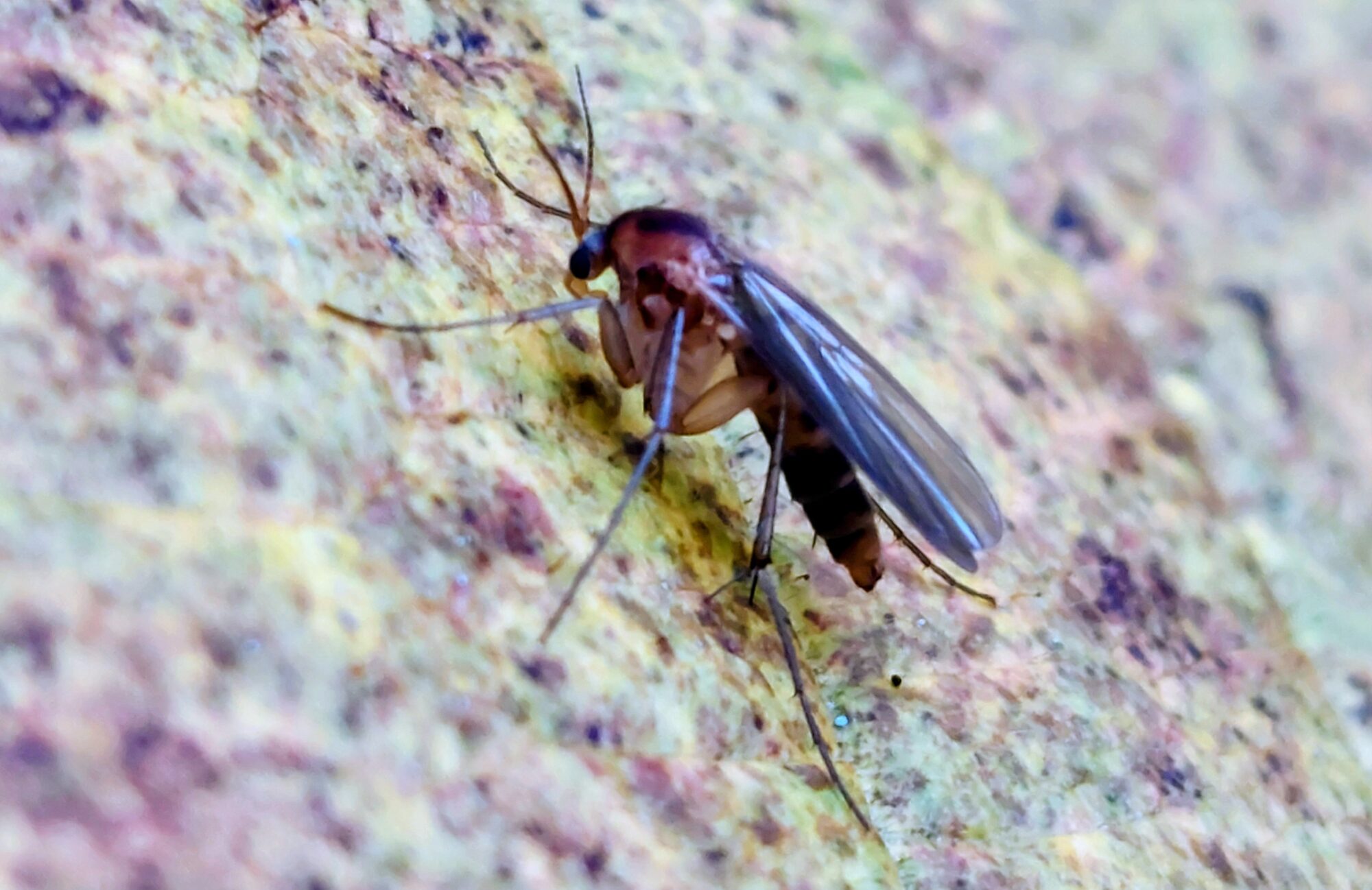 Valokuvaaja: Tarja Naukkarinen