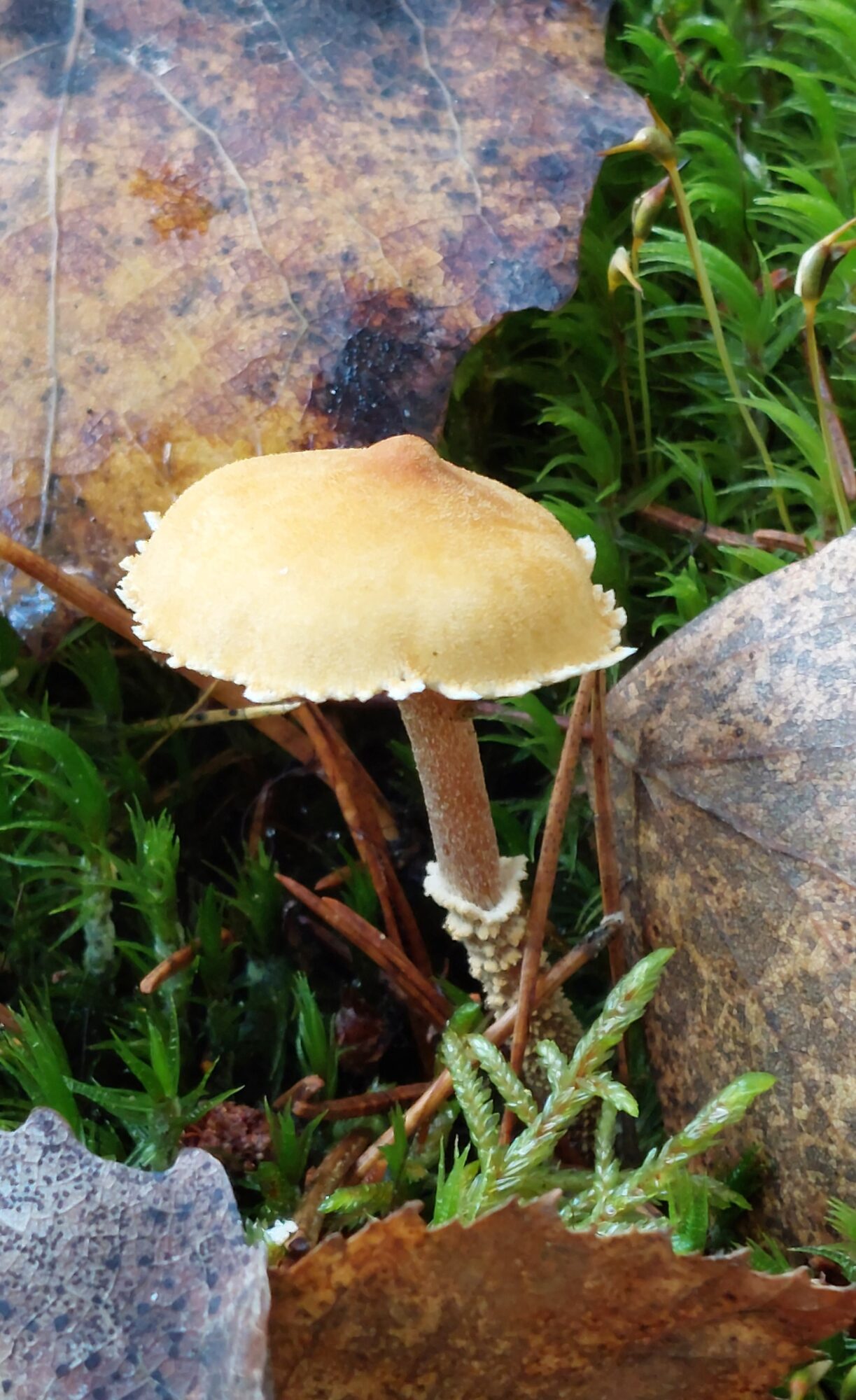 Valokuvaaja: Tarja Naukkarinen