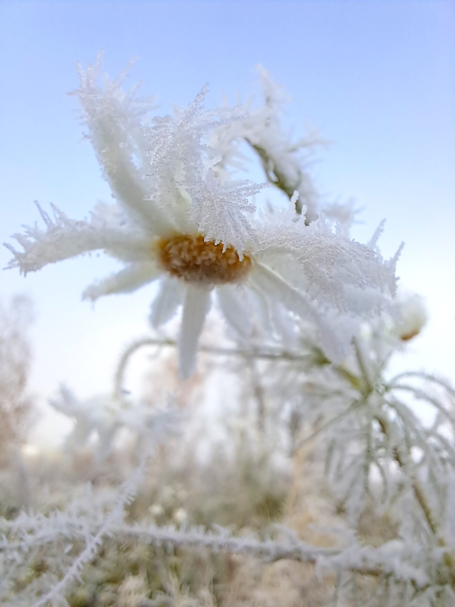 Valokuvaaja: Irja Lehtinen
