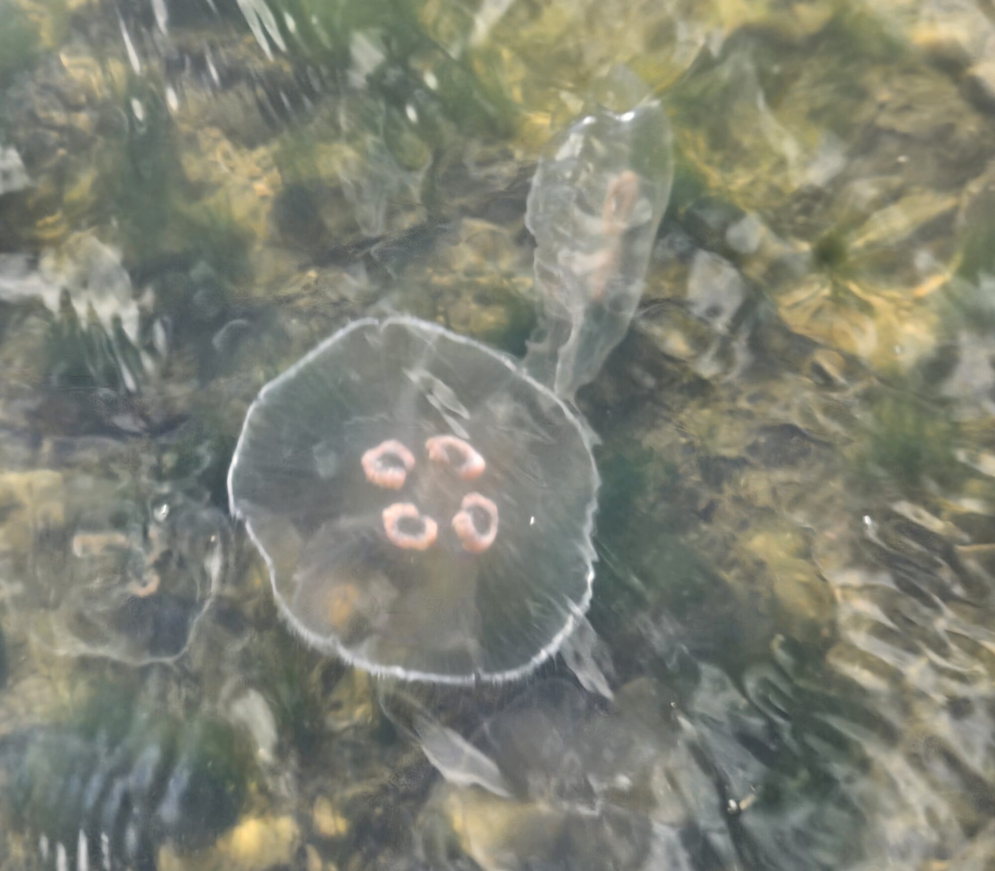 Valokuvaaja: Heikki Aaltonen