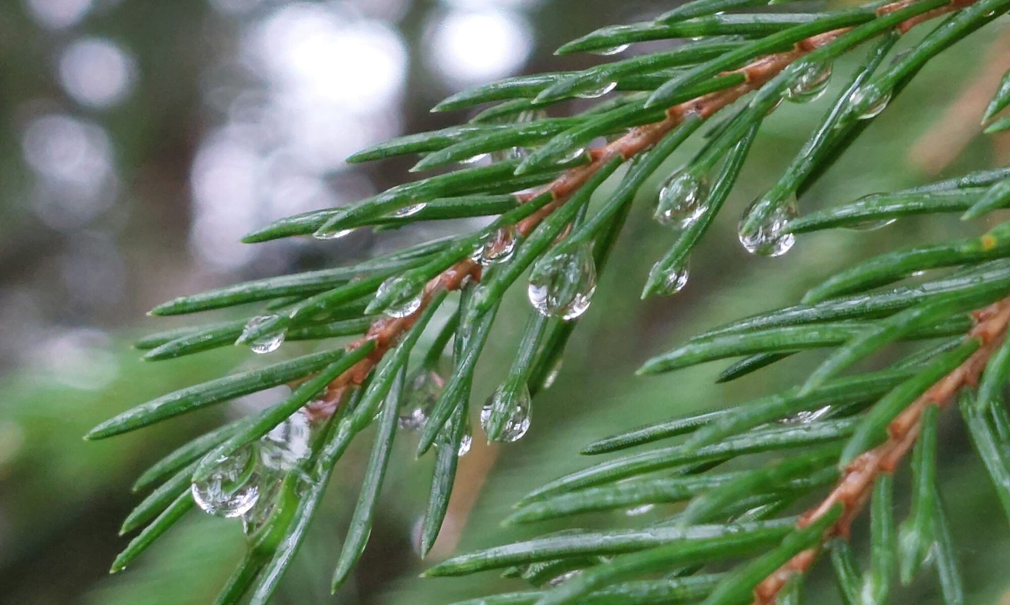 Valokuvaaja: Tarja Naukkarinen