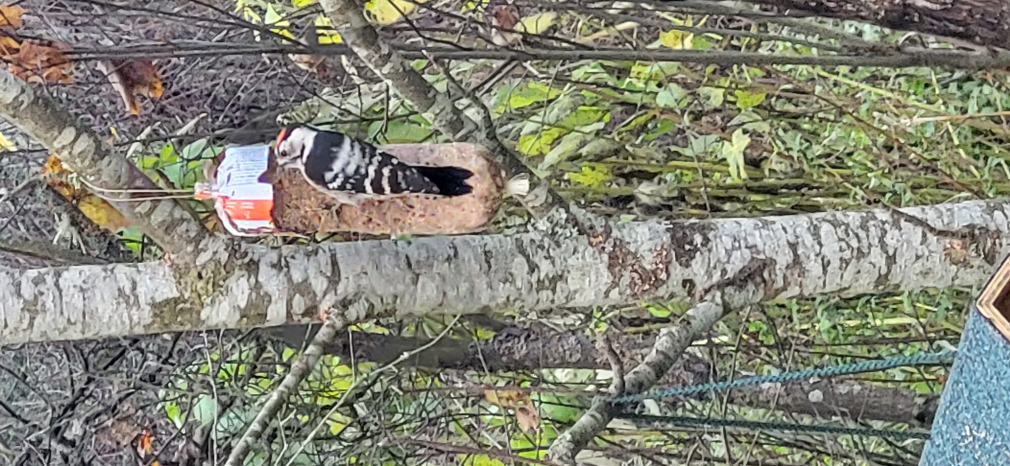 Valokuvaaja: Jouni Heikkinen