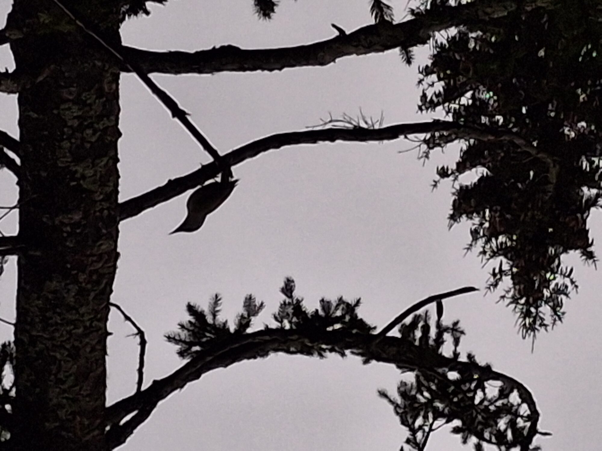 Valokuvaaja: Satu Suuntala