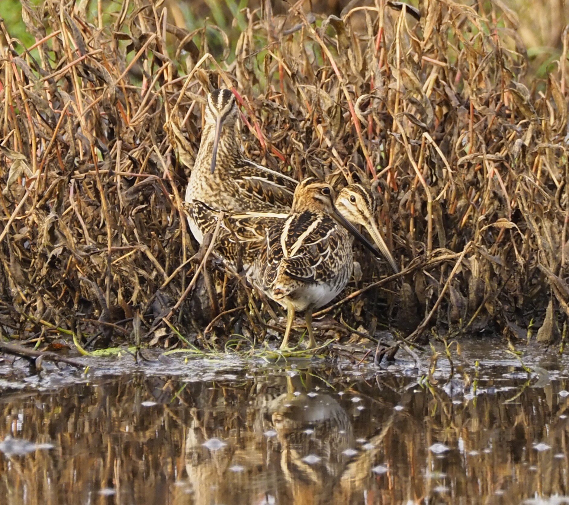 Valokuvaaja: Annikki Kärkkäinen