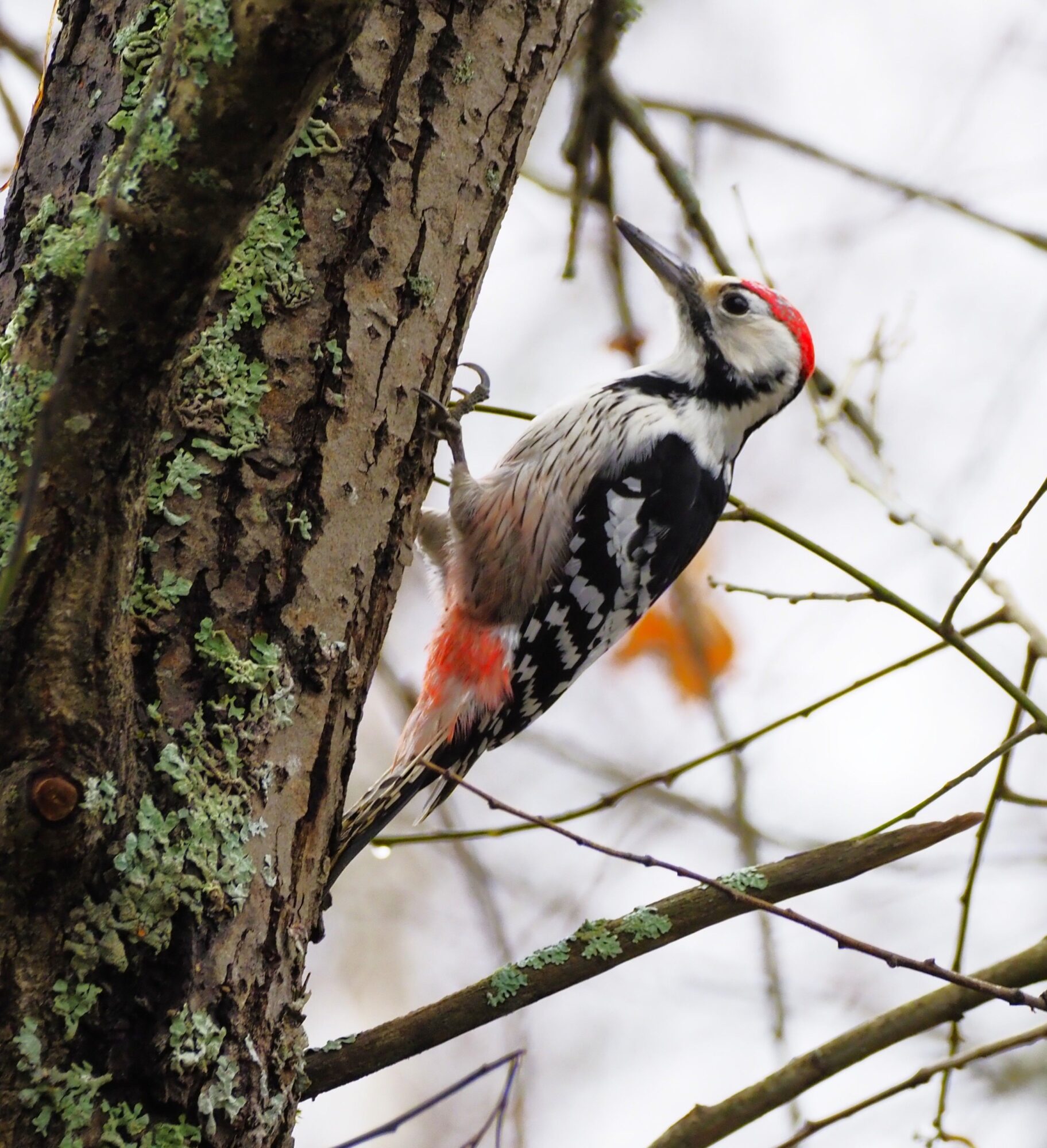 Valokuvaaja: Annikki Kärkkäinen