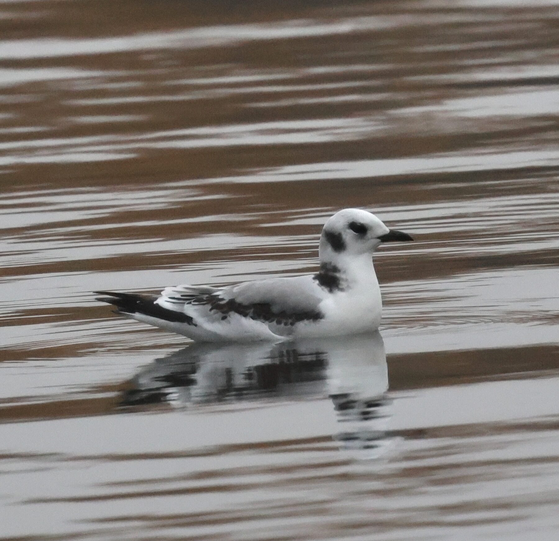 Valokuvaaja: Hanna Rönty