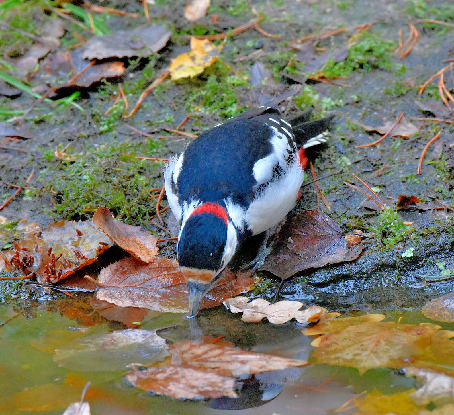 Valokuvaaja: Reijo Juurinen