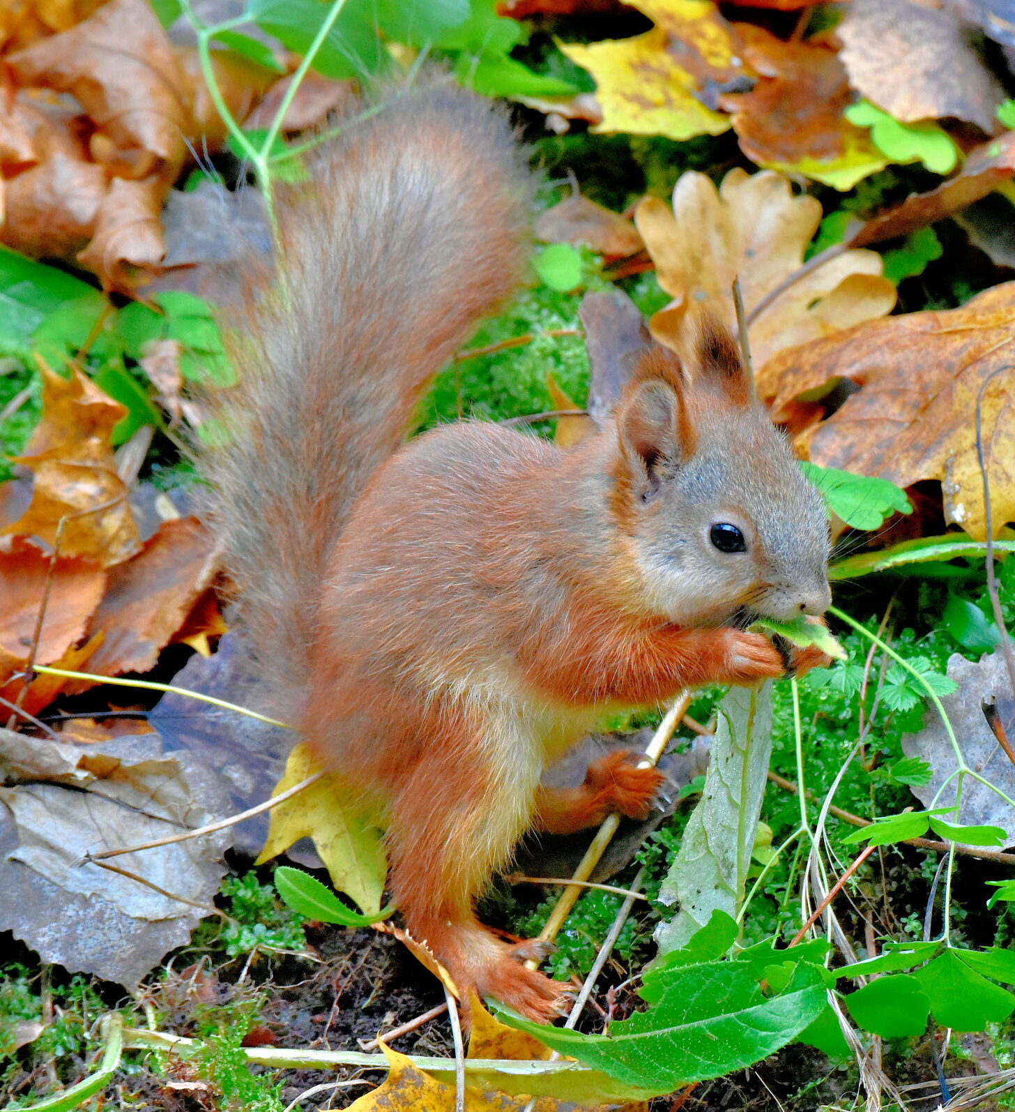 Valokuvaaja: Reijo Juurinen