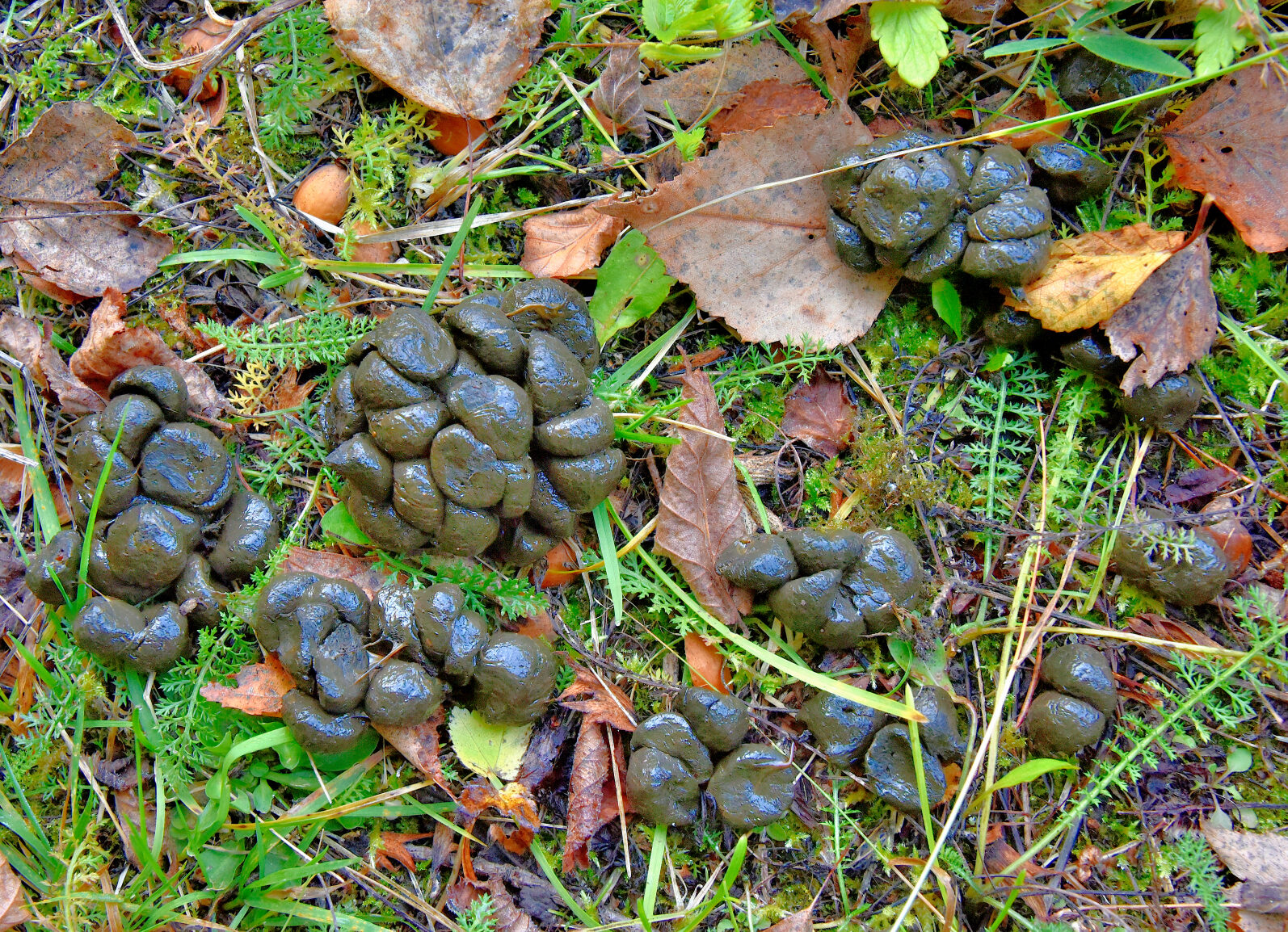 Valokuvaaja: Reijo Juurinen