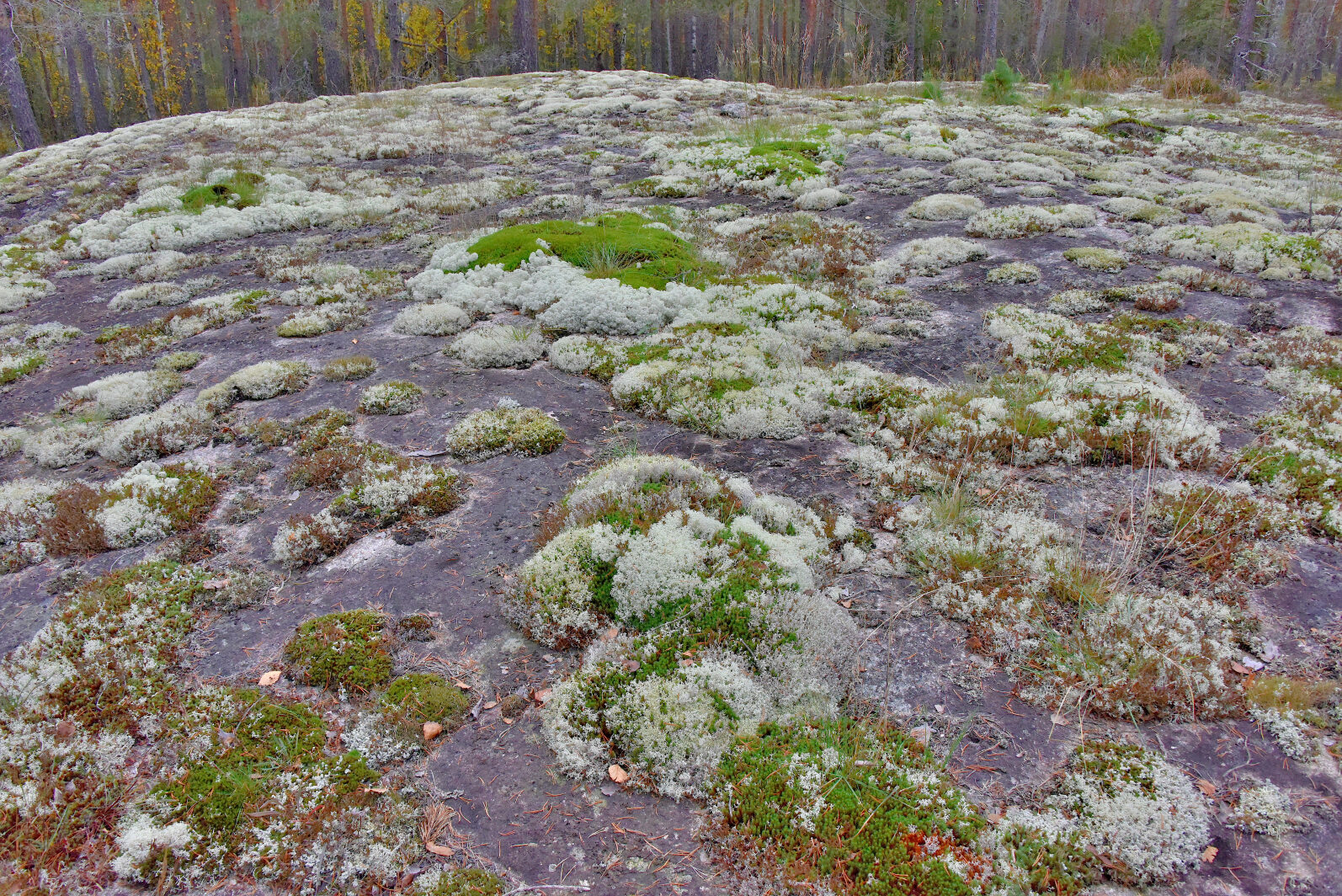 Valokuvaaja: Reijo Juurinen