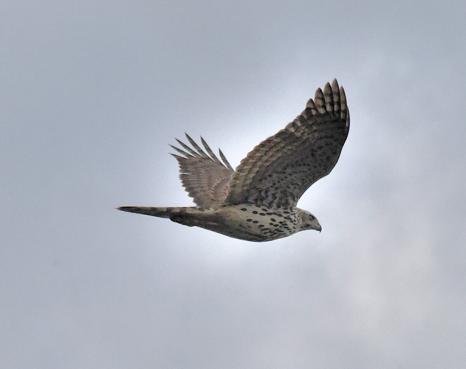 Valokuvaaja: Reijo Juurinen