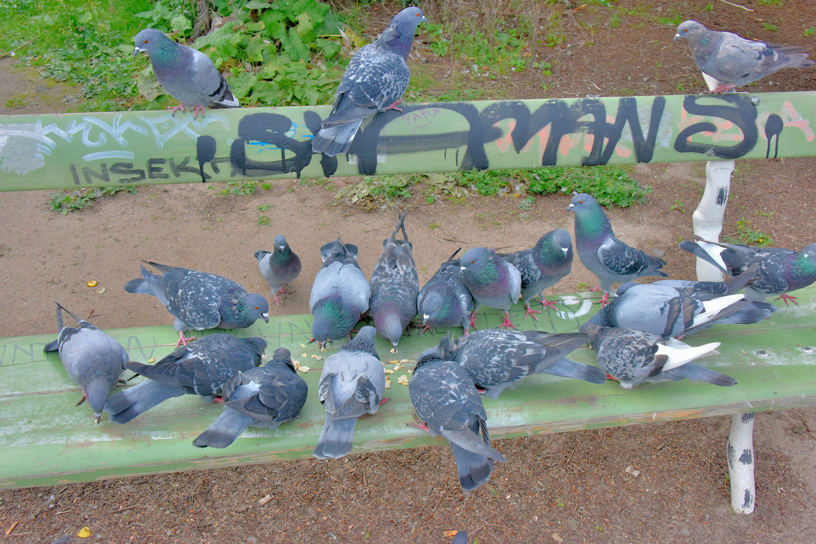 Valokuvaaja: Reijo Juurinen