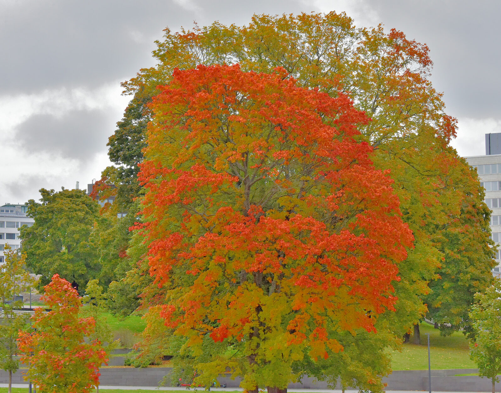Valokuvaaja: Reijo Juurinen