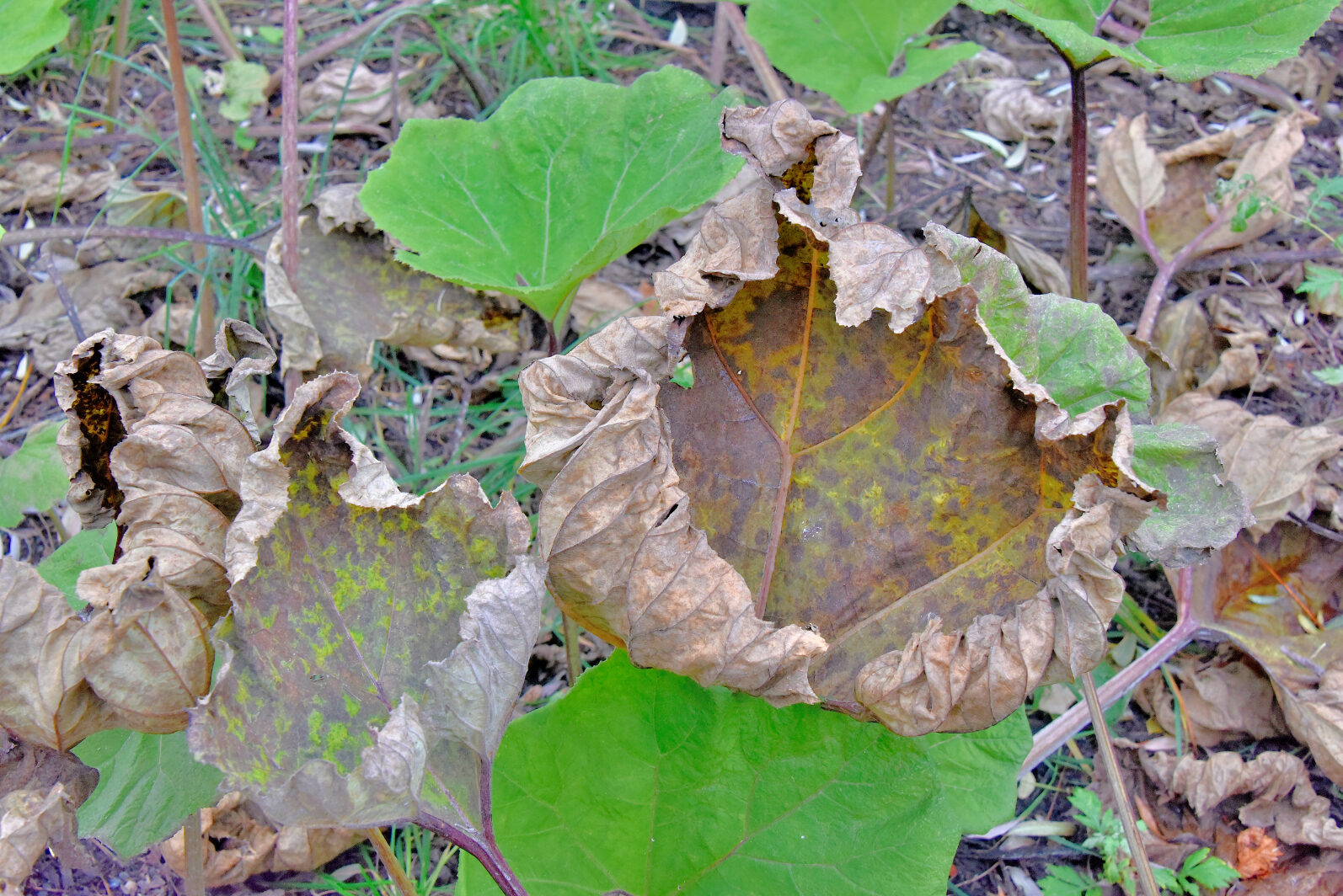 Valokuvaaja: Reijo Juurinen