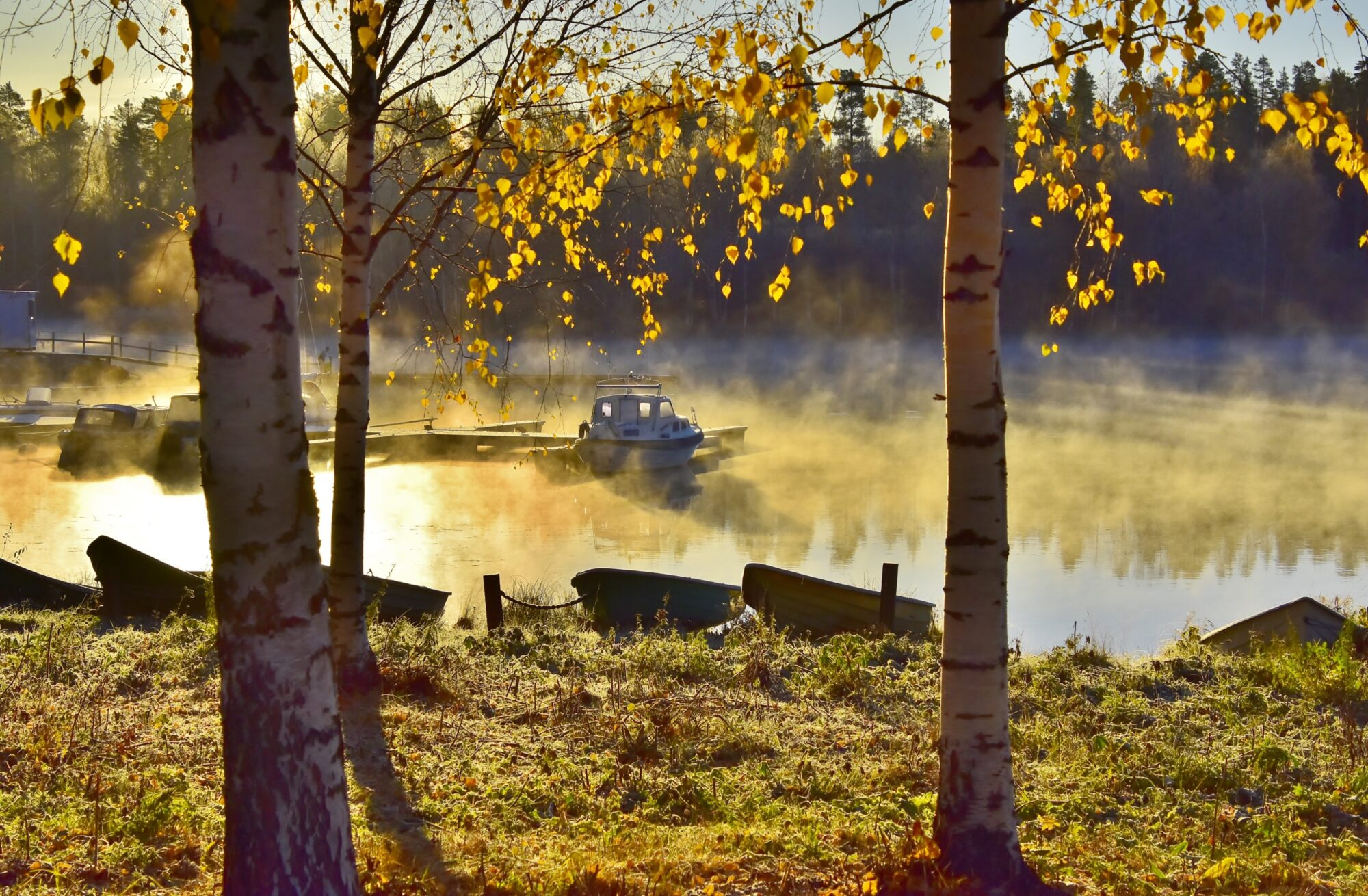 Valokuvaaja: Markku Pelkonen Valokuvaaja: Markku Pelkonen